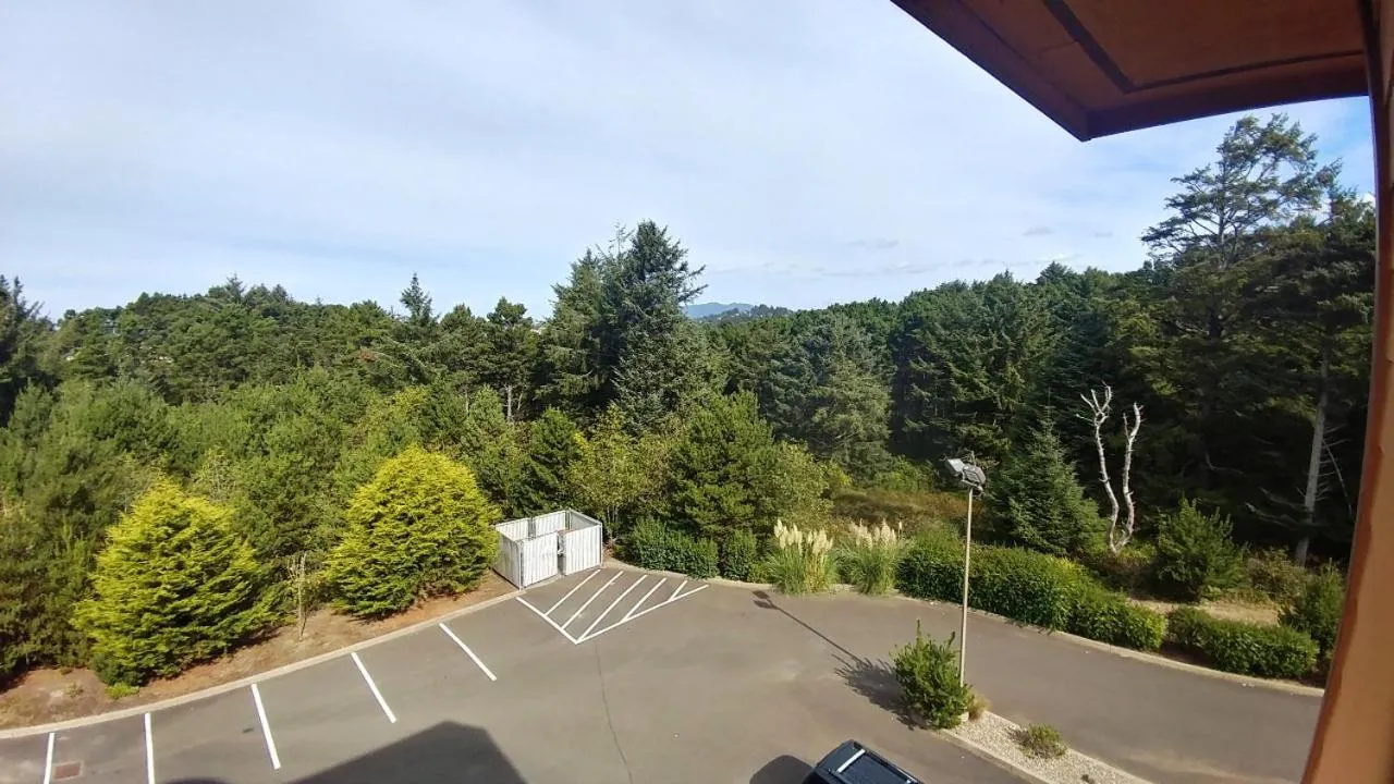 View (from property/room) in Palace Inn & Suites