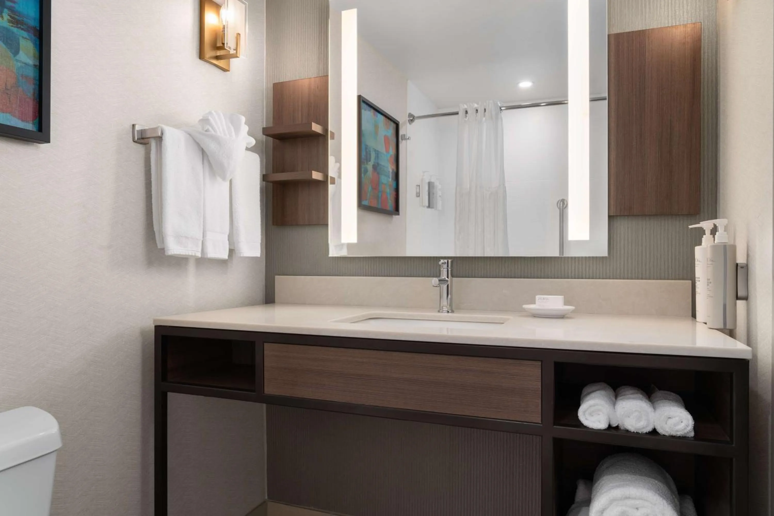 Bathroom in Hilton Garden Inn Rock Hill