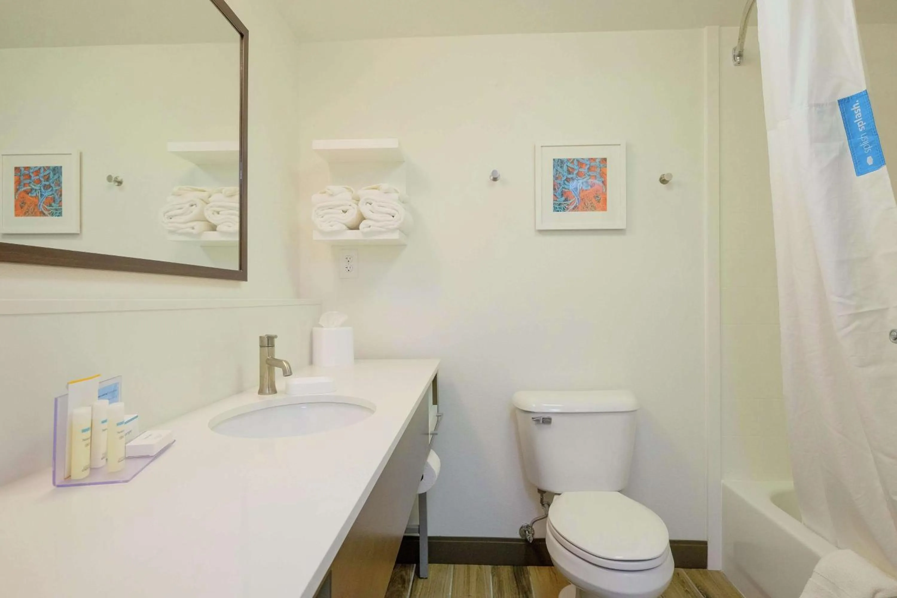 Bathroom in Hampton Inn Edenton