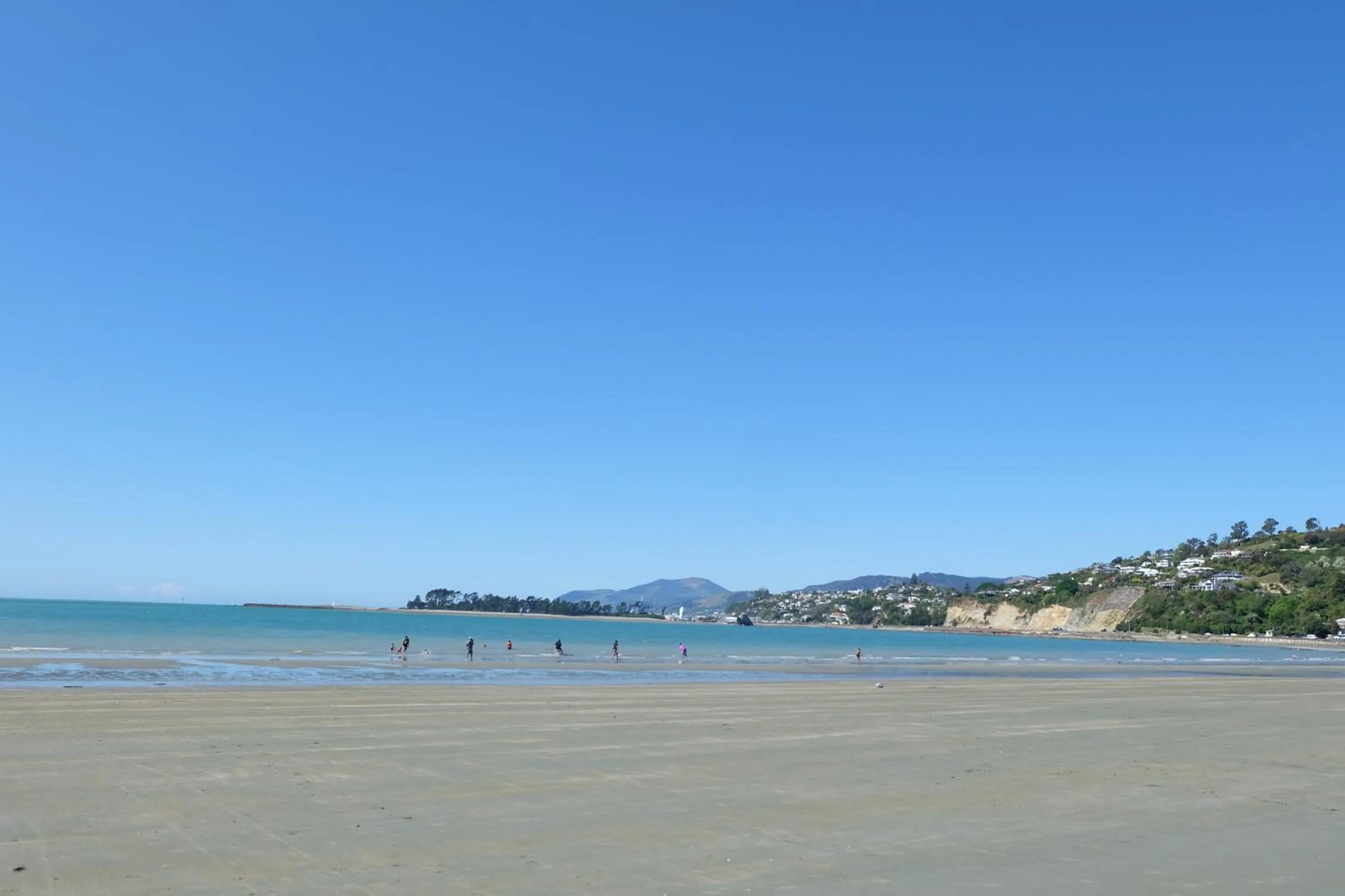 Nearby landmark in Castles Motel & Driftwood Motel