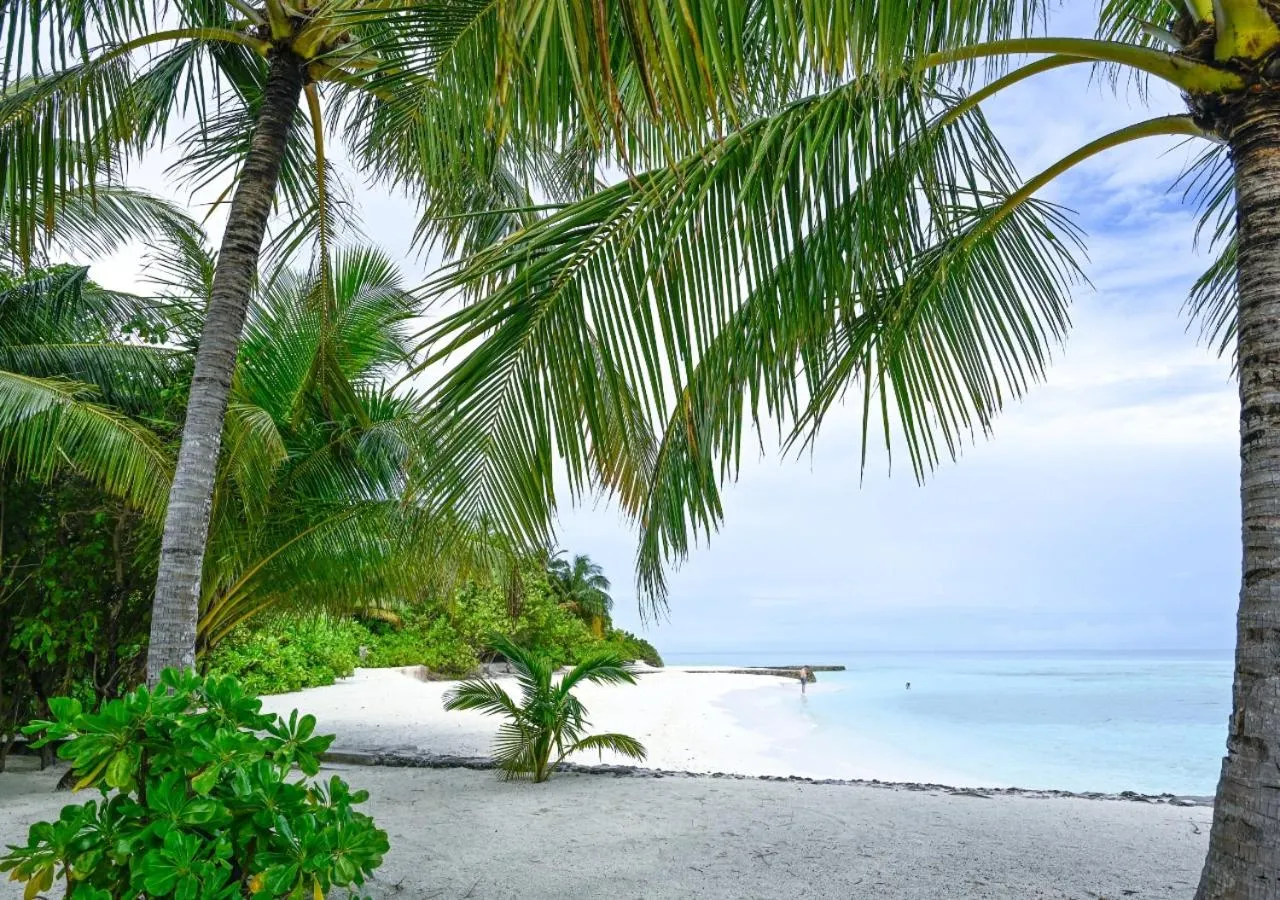 Beach in Makunudu Island- An Intimate Hideaway