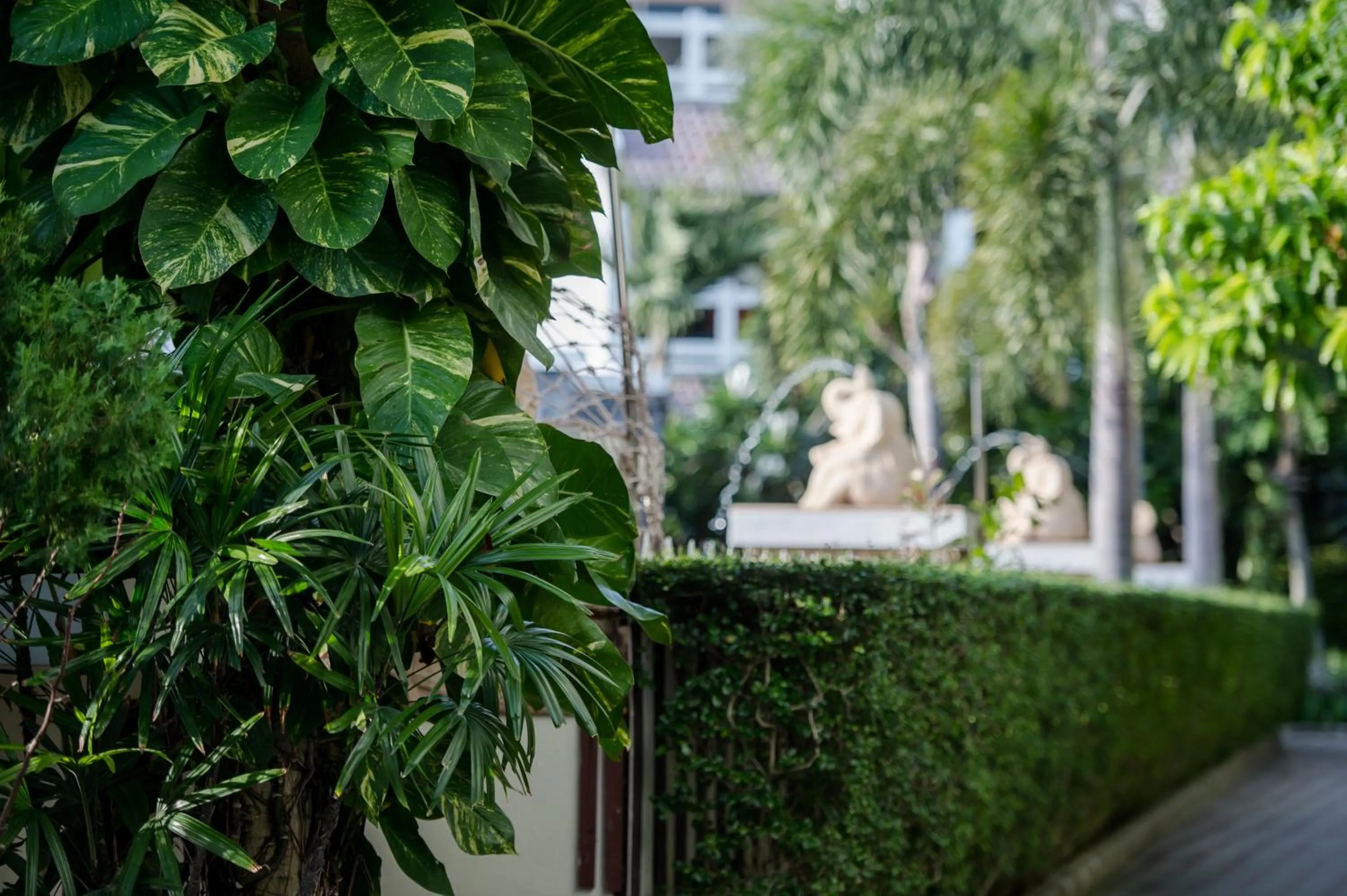 Natural landscape in Neptune's Villa