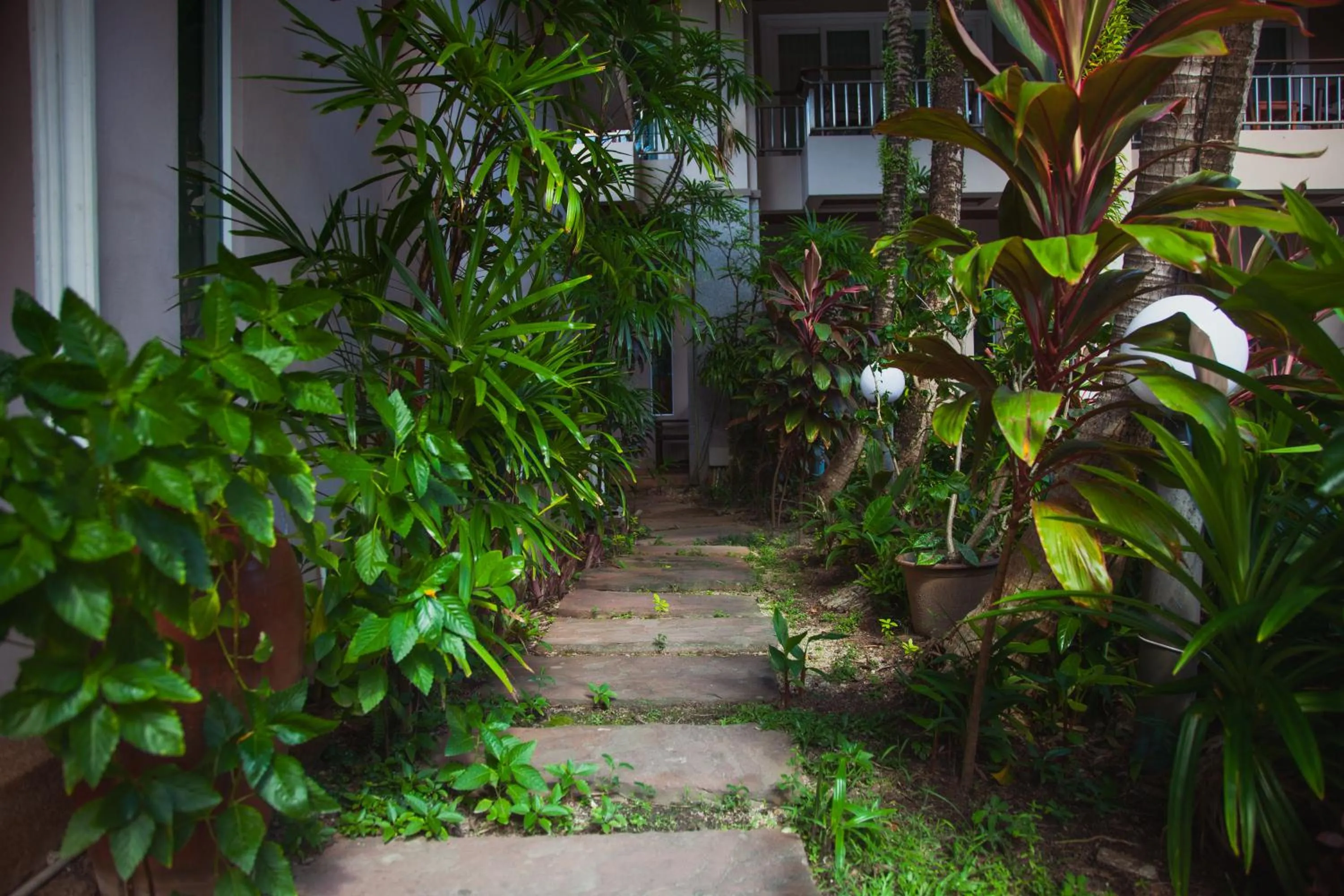 Natural landscape in Thanthip Beach Resort Patong