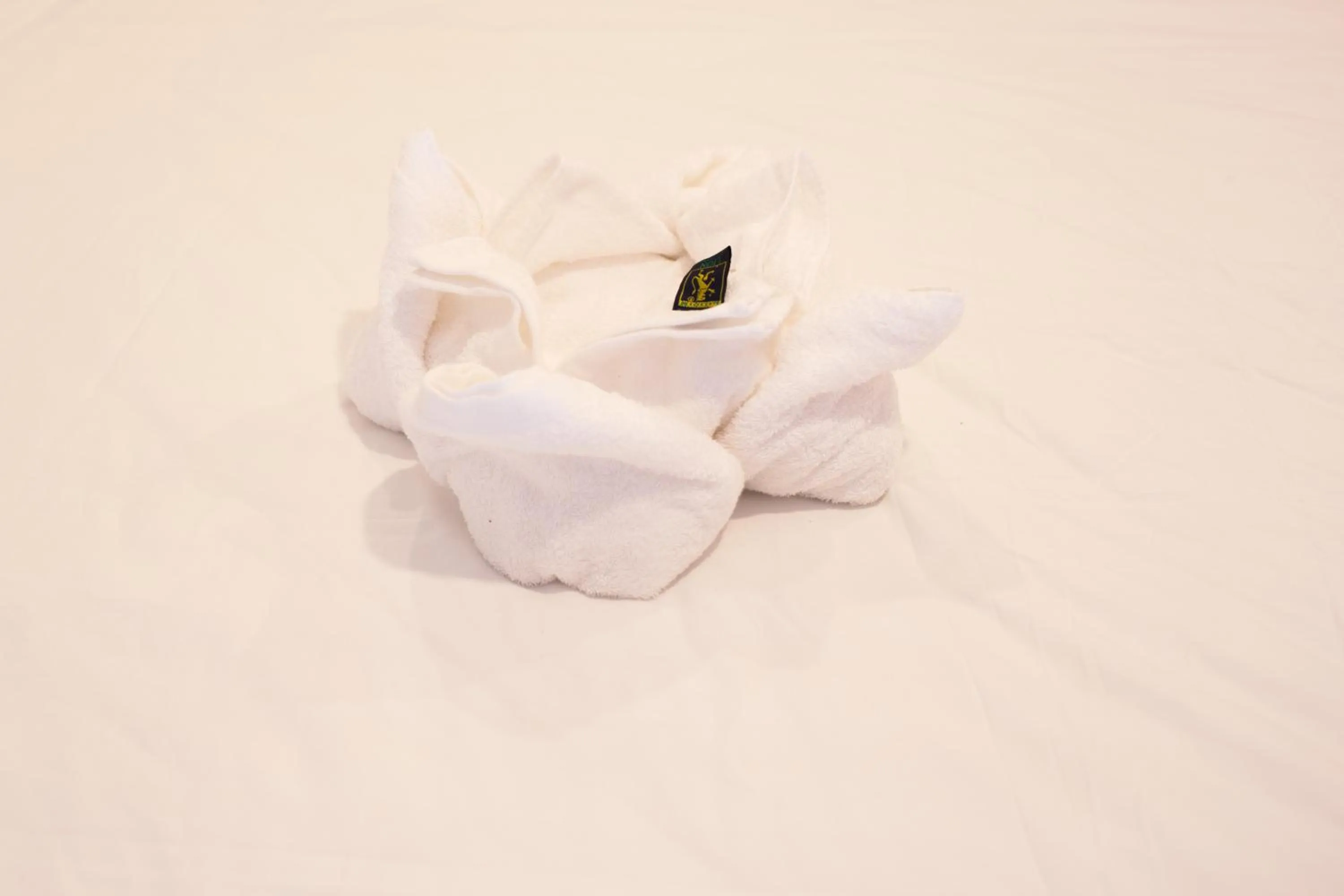 TWIN HOME Guesthouse