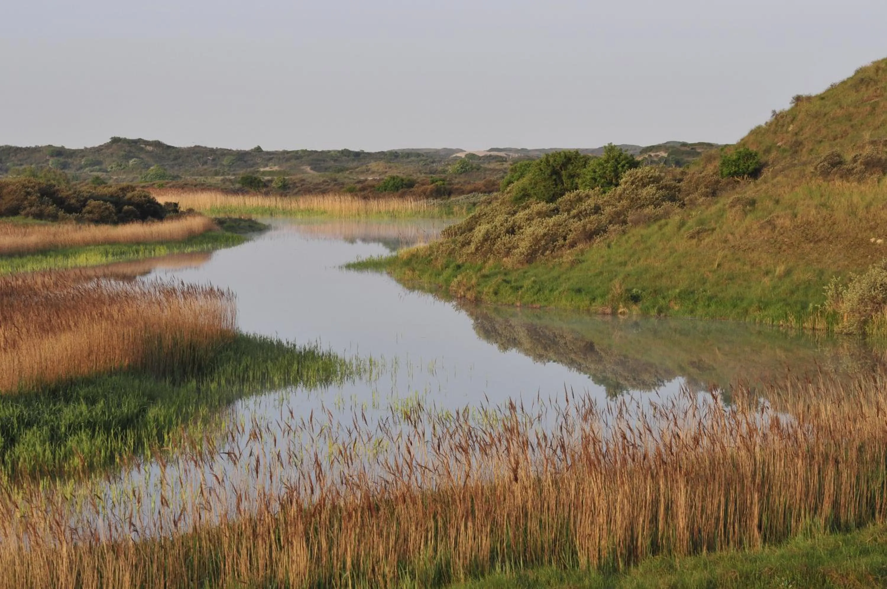Area and facilities in Boutique Lodge Zandvoort
