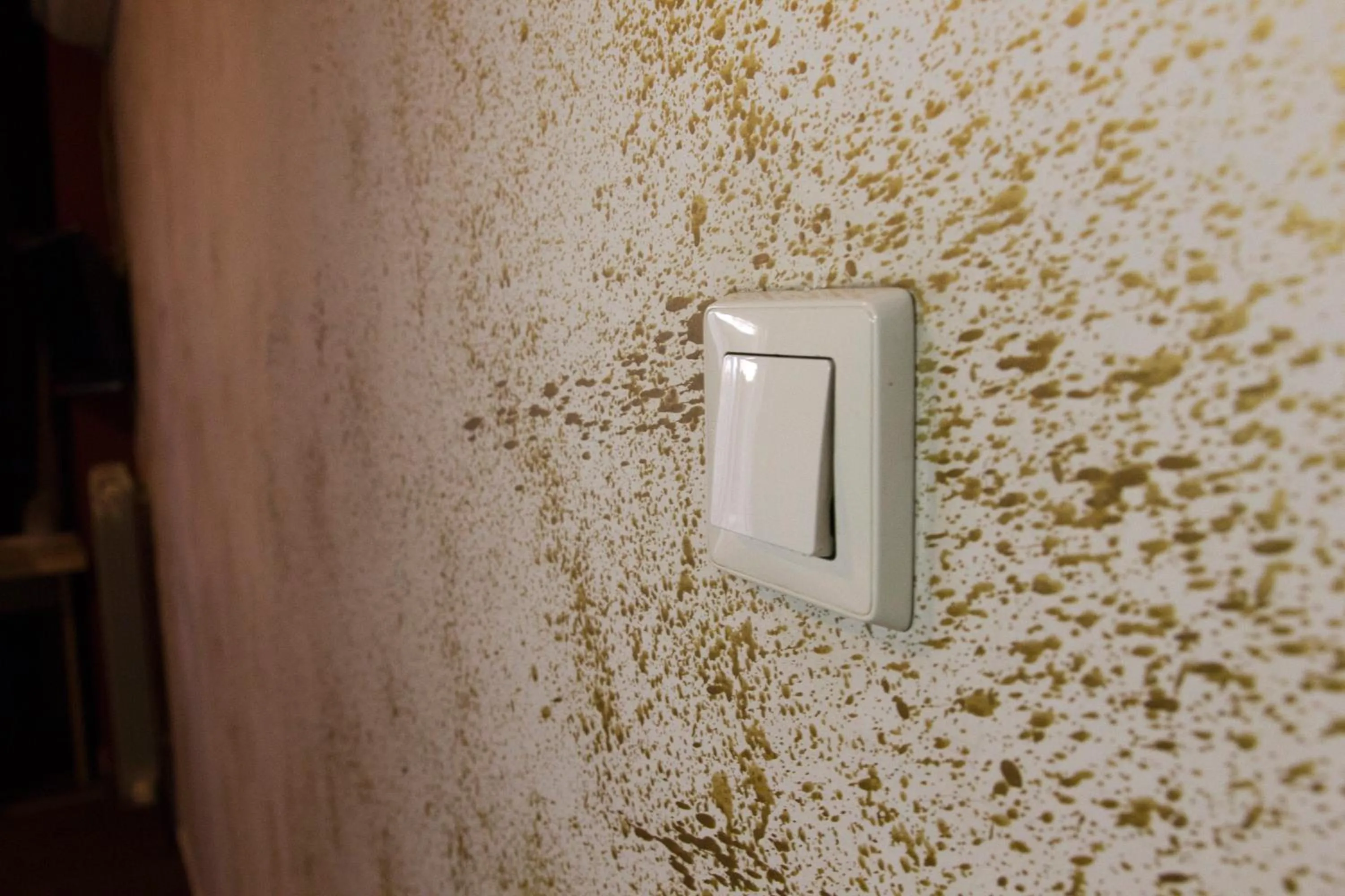 Decorative detail in Vila Senjak