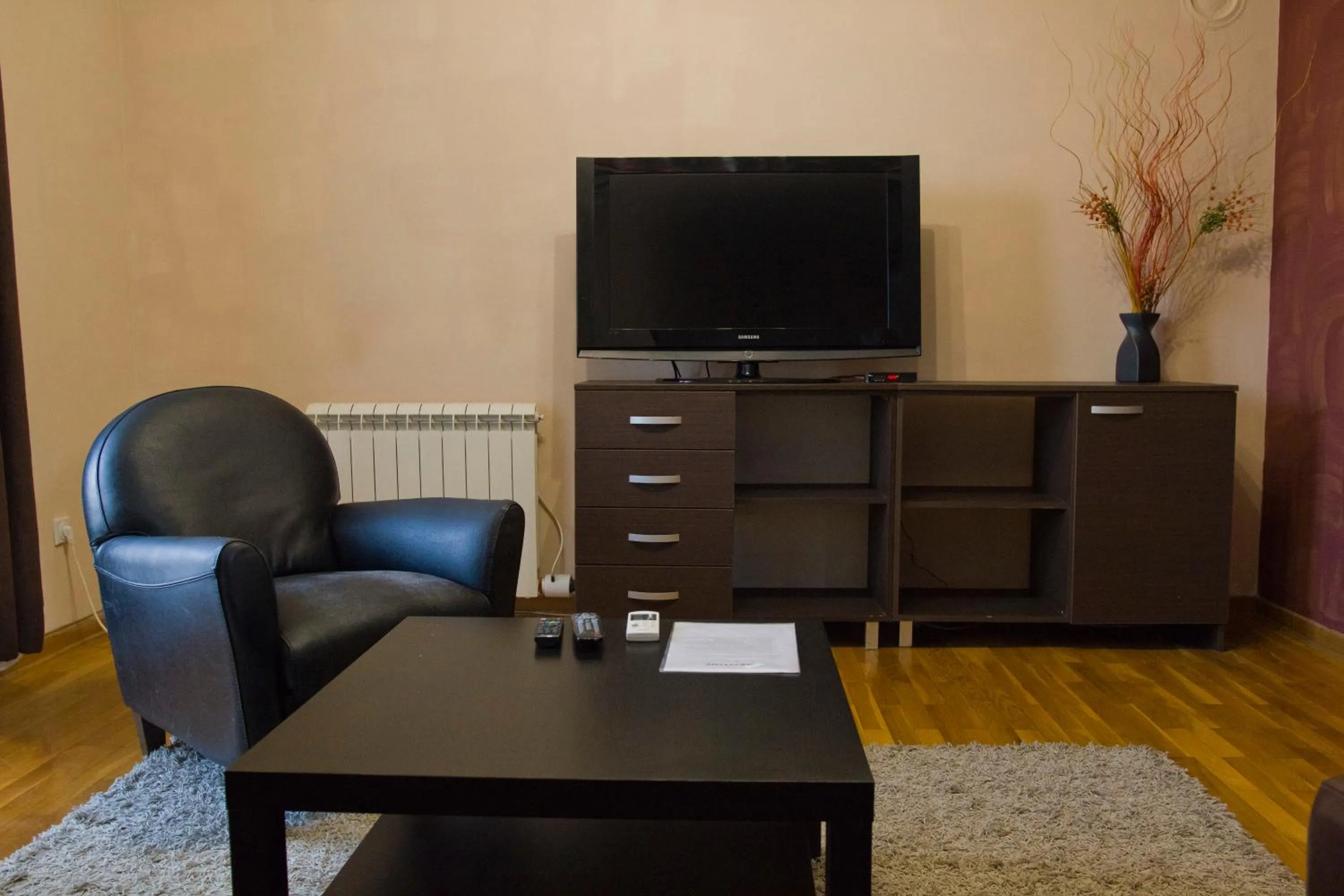 Living room in Vila Senjak