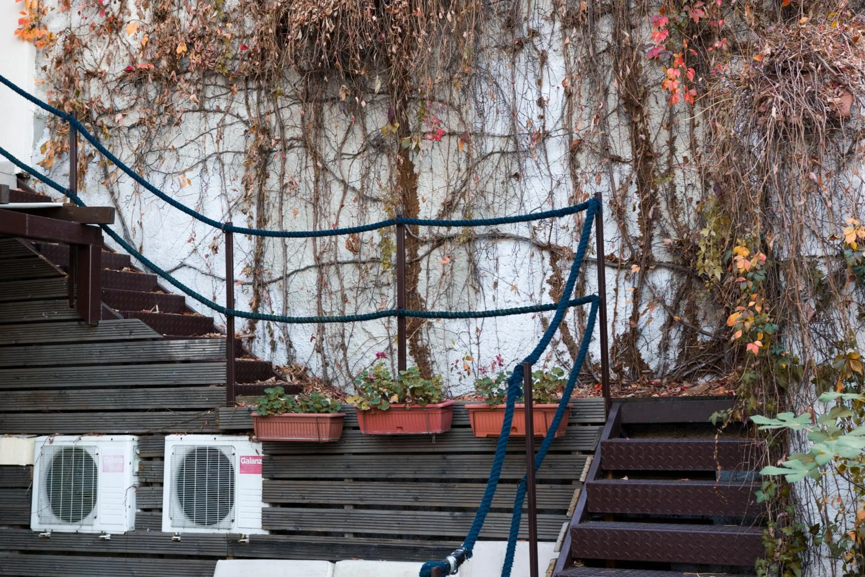 Garden in Vila Senjak