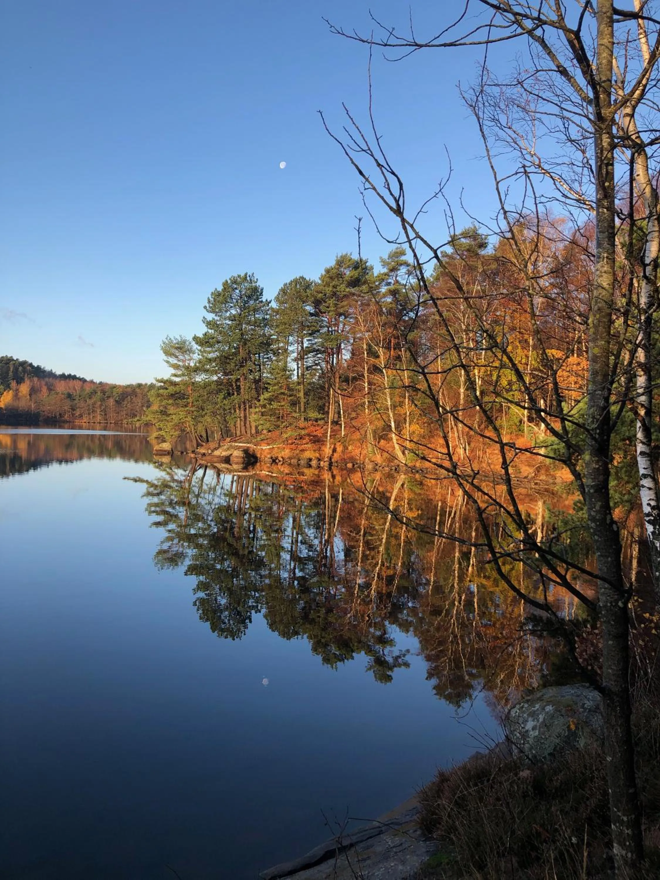 Activities in 5:ans Bed & Breakfast