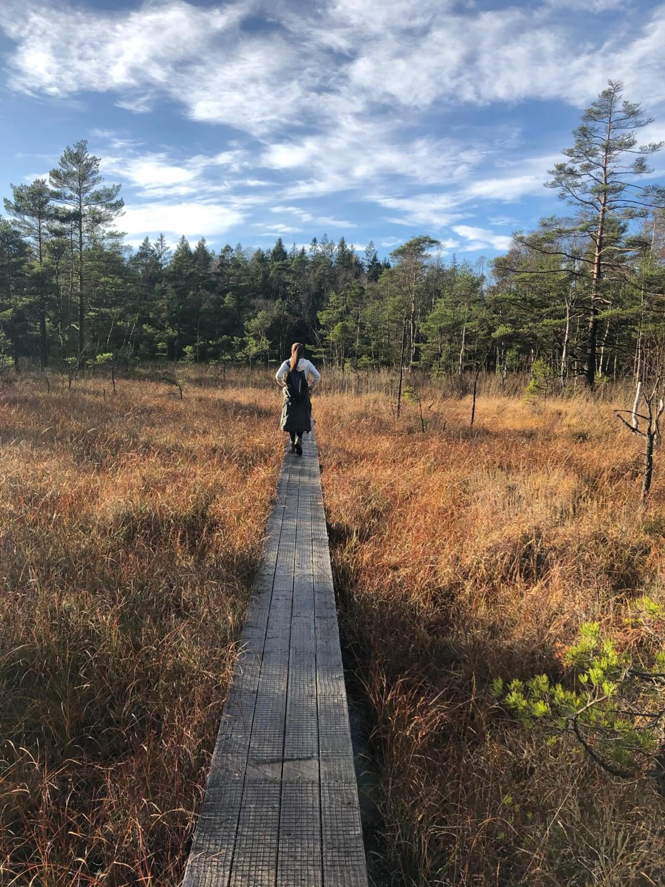 Natural landscape in 5:ans Bed & Breakfast