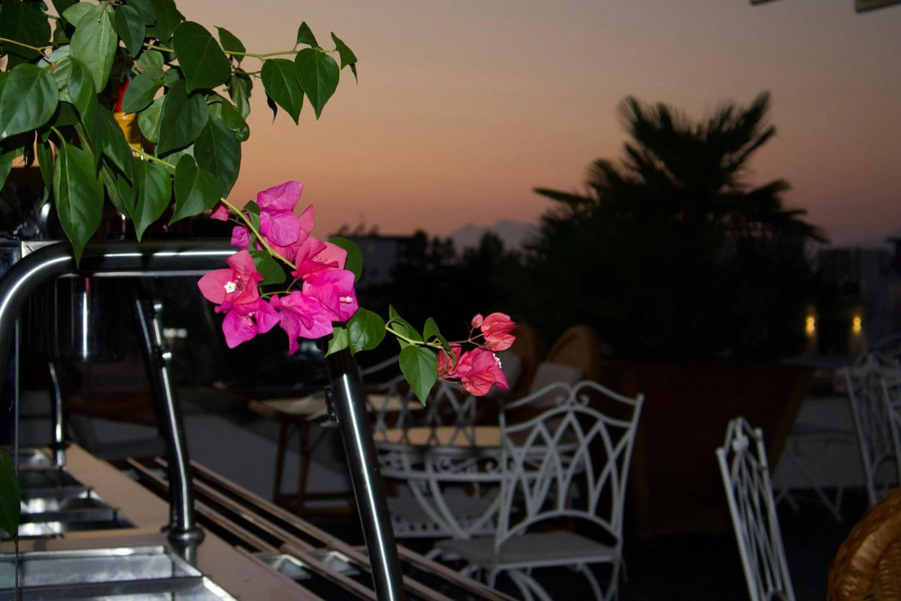 Patio in Ilio Boutique Hotel