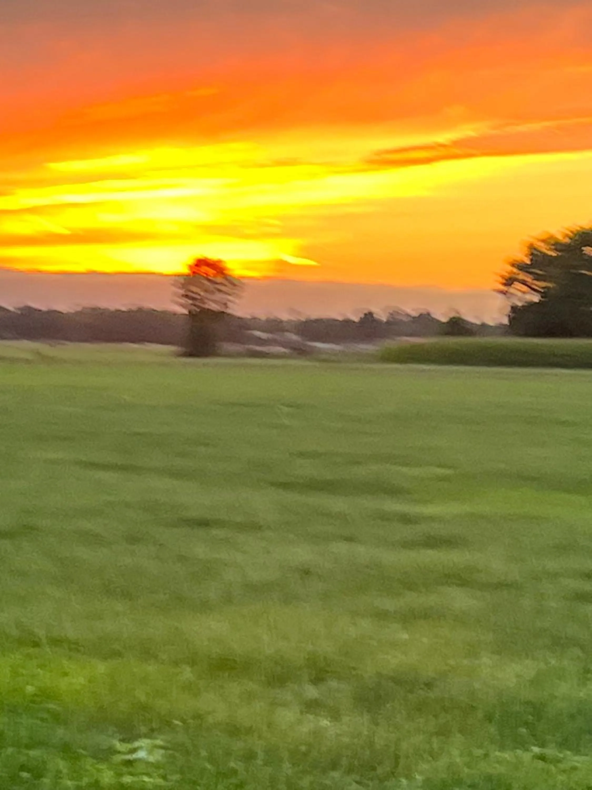 Hotel-Eetcafé d'Olde Heerd