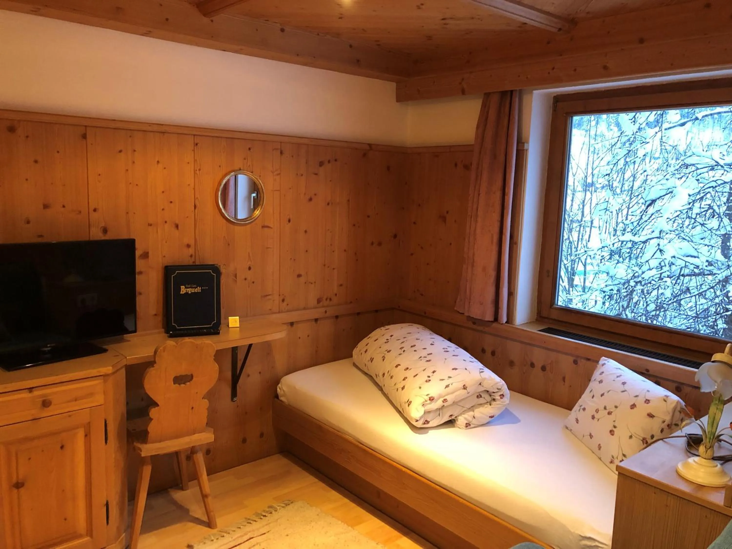 TV and multimedia in Hotel Garni Bergwelt