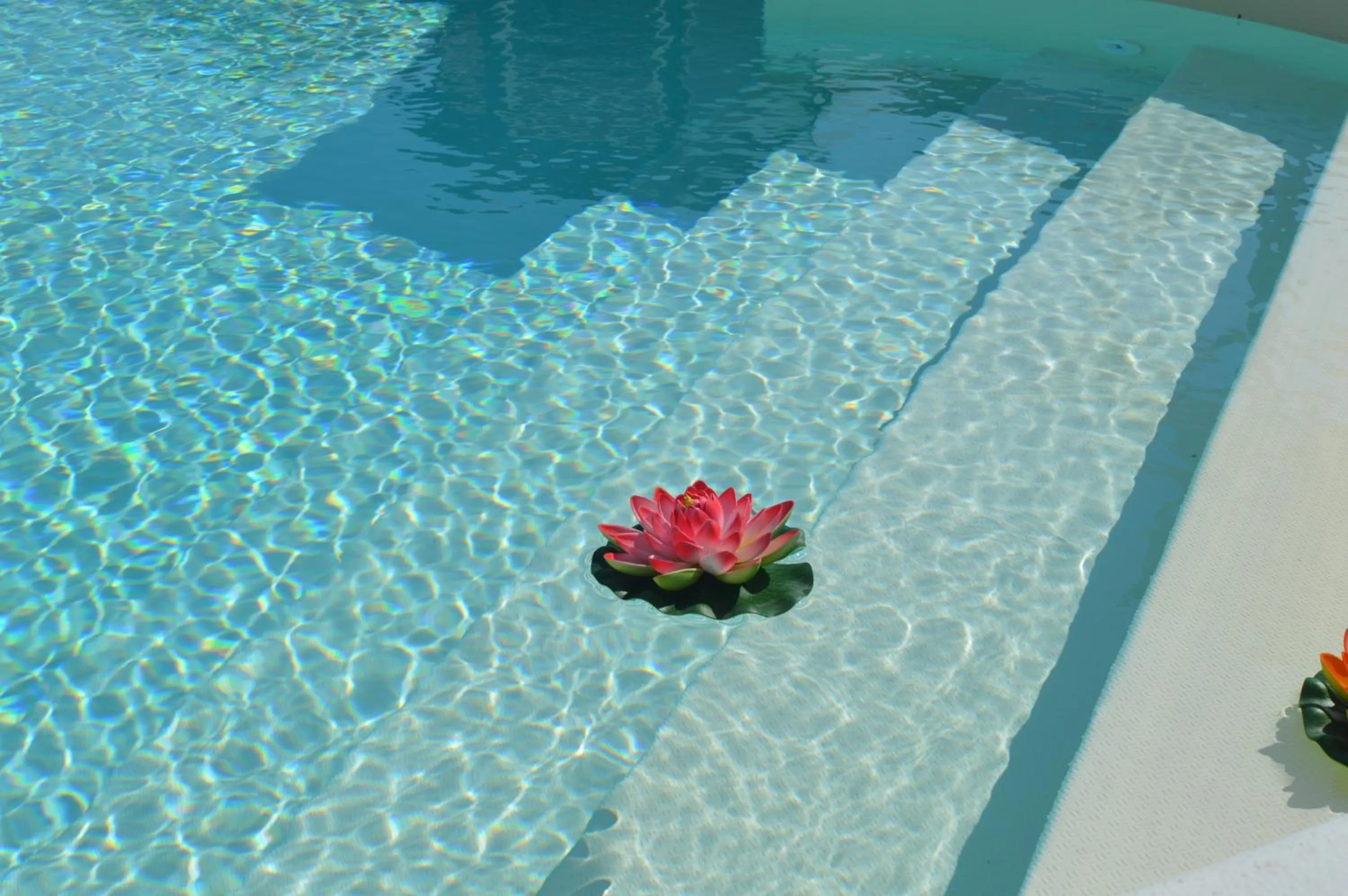 Swimming pool in Hotel Continental