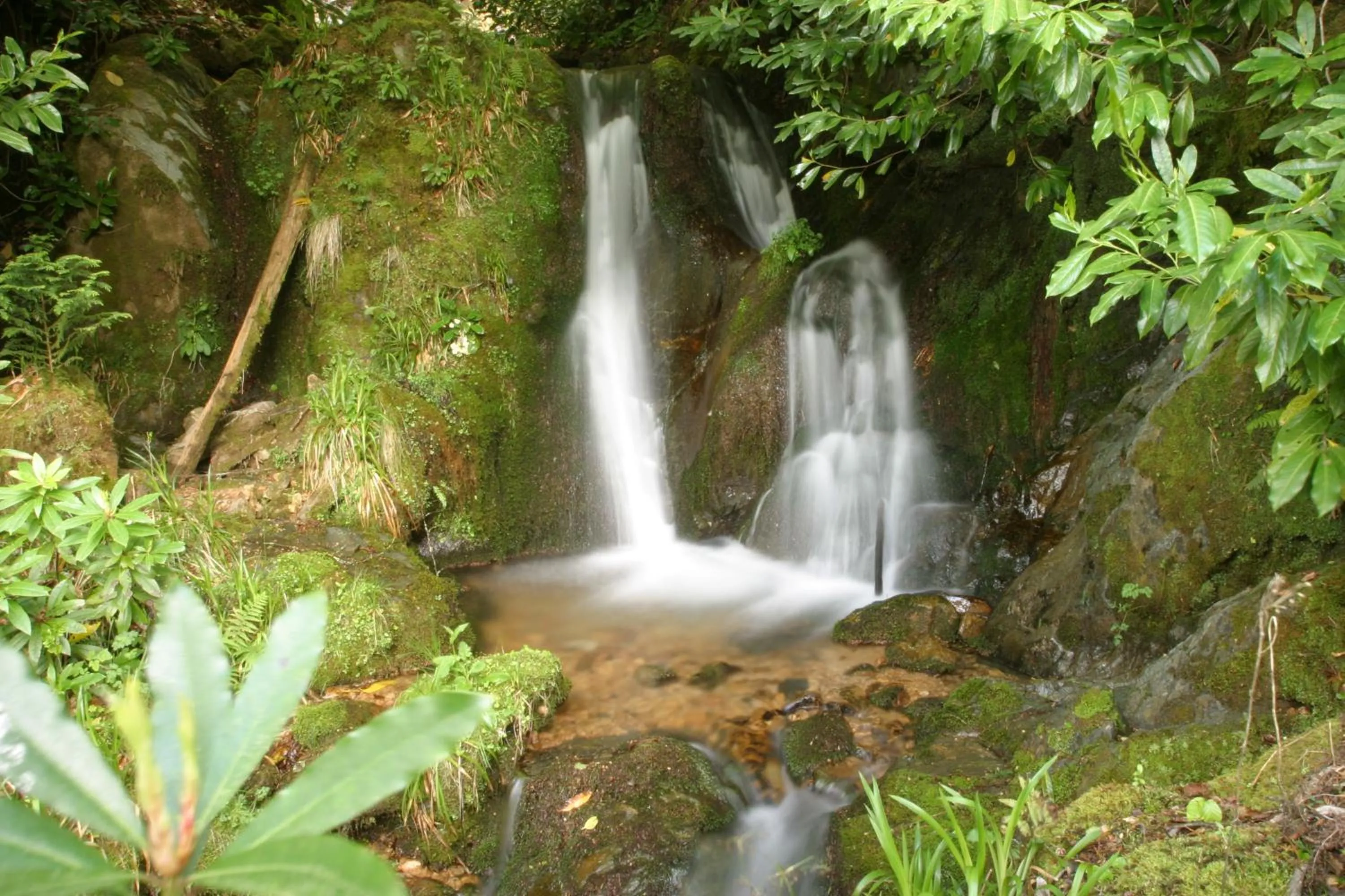 Natural landscape in Corriegour Lodge Hotel