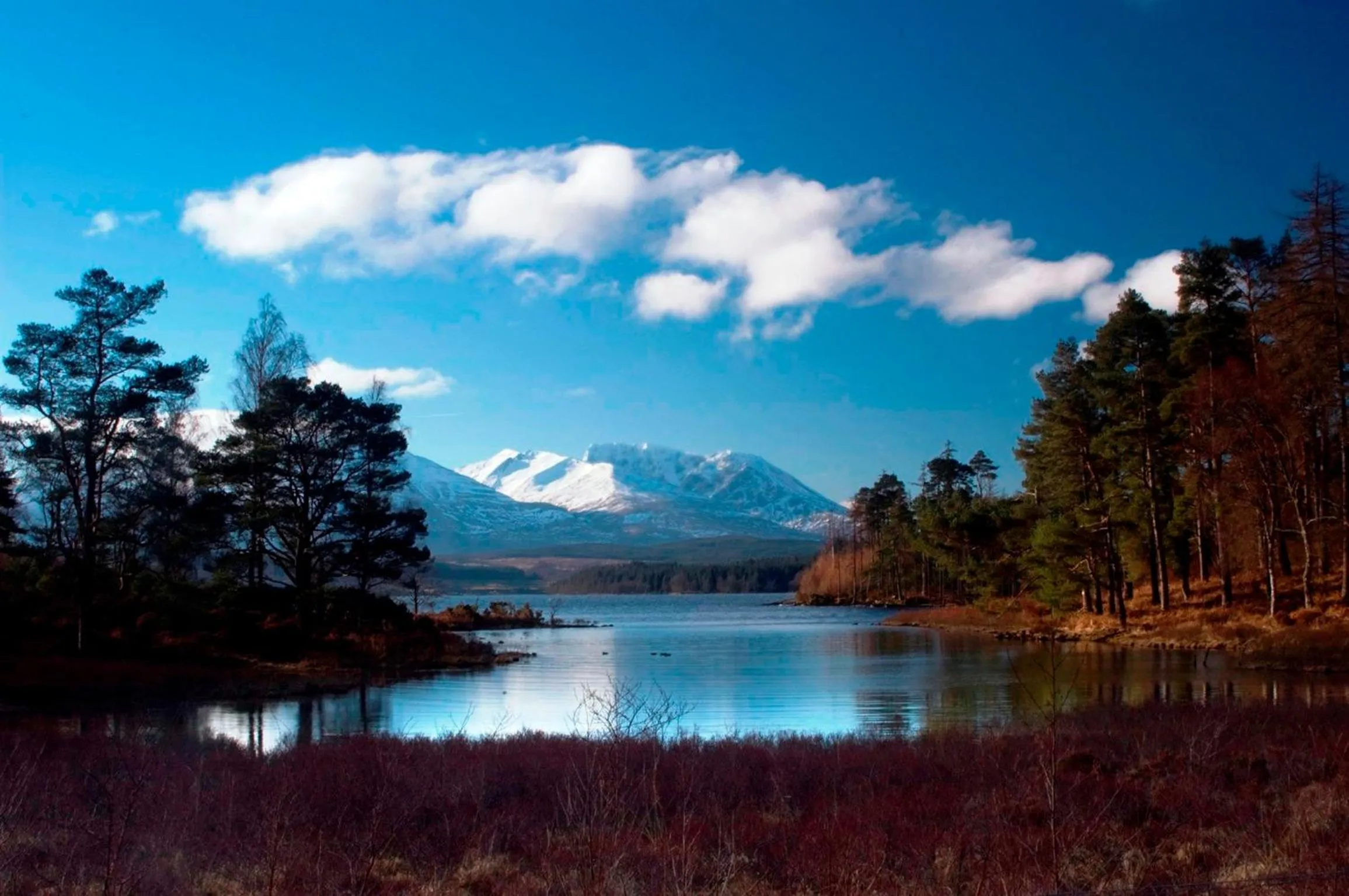 Natural landscape in Corriegour Lodge Hotel
