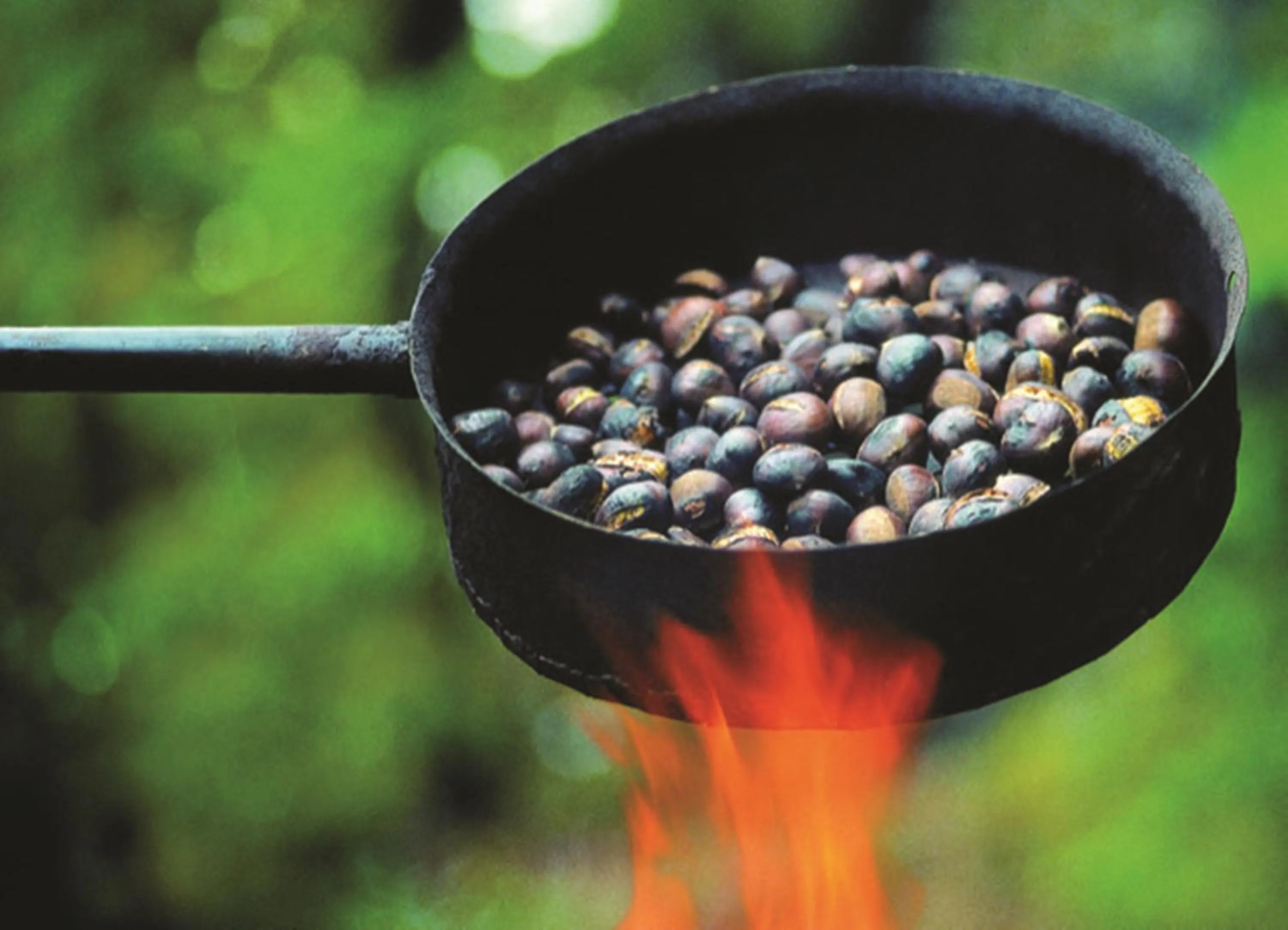 Food in Hotel Stainzerhof