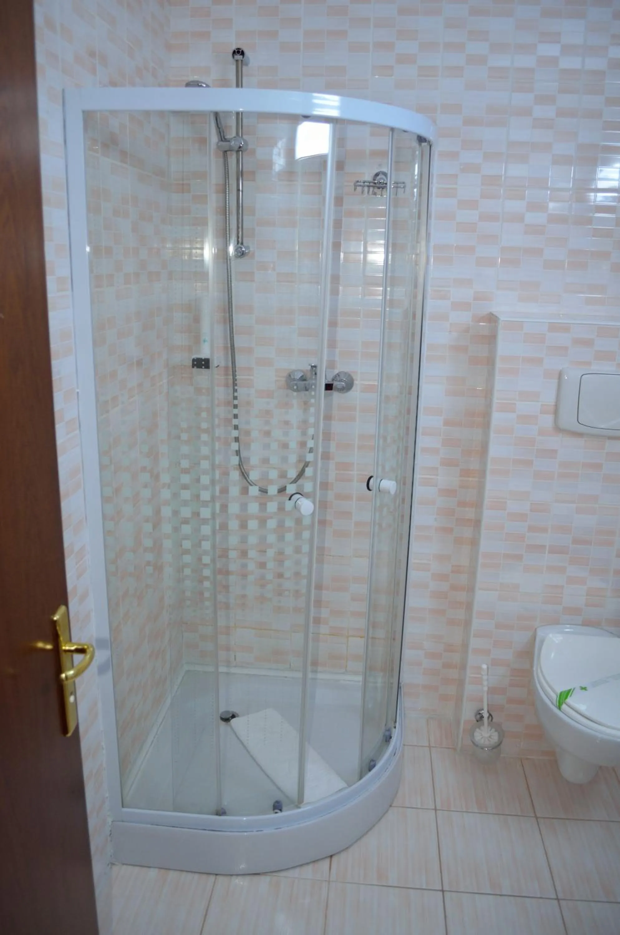 Shower in Hotel Rusu