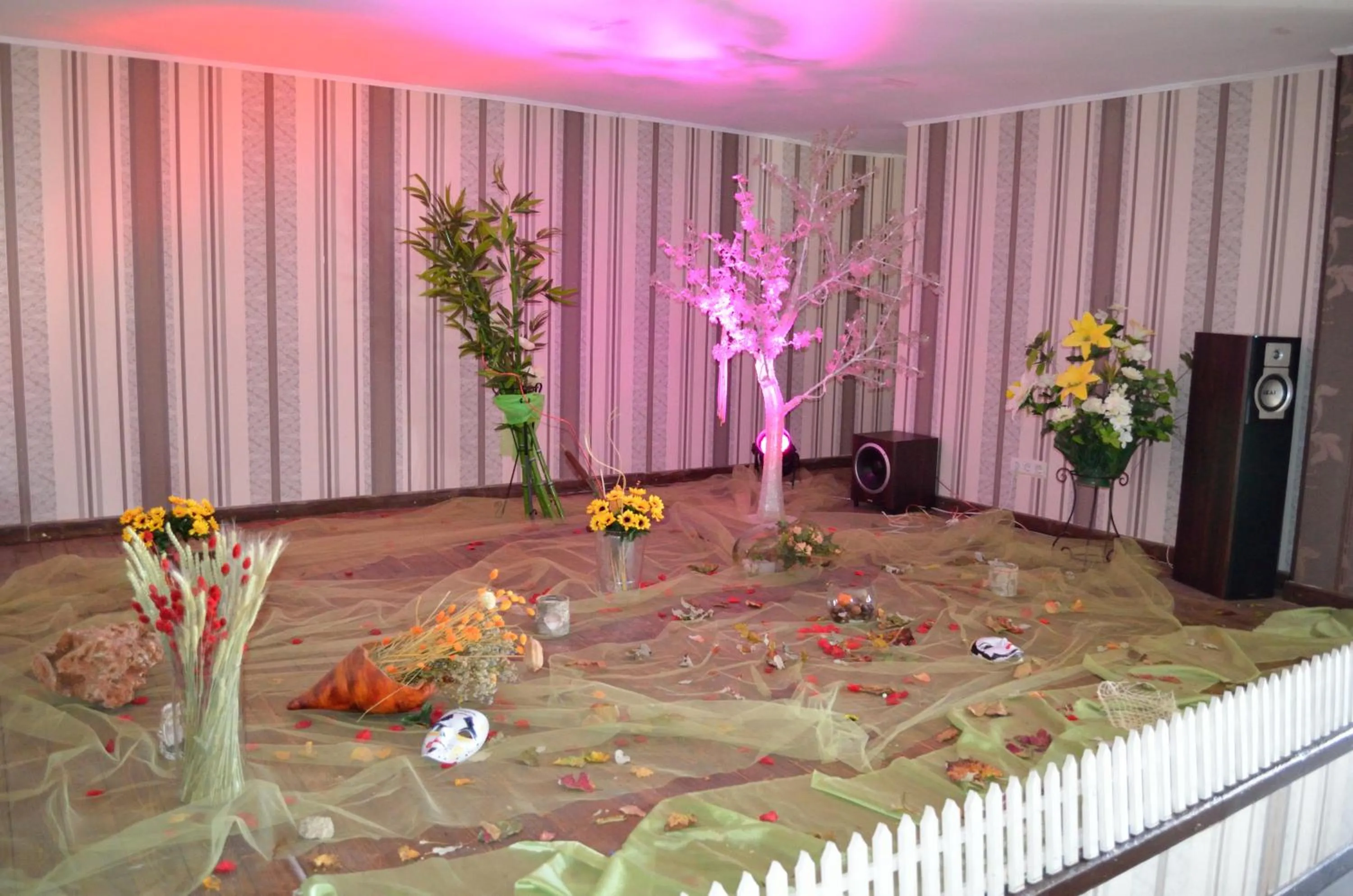 Banquet/Function facilities in Hotel Rusu