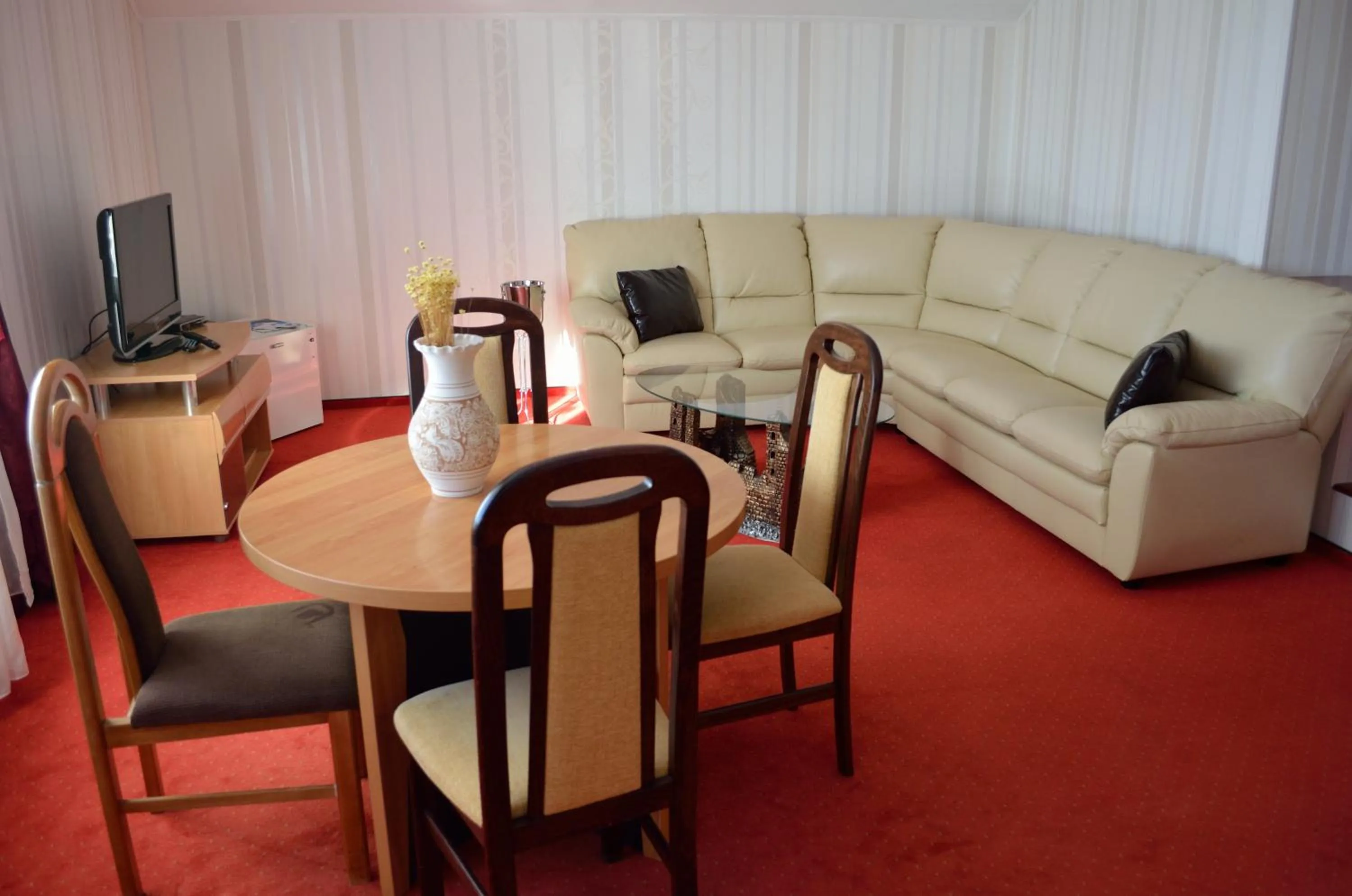 Living room in Hotel Rusu