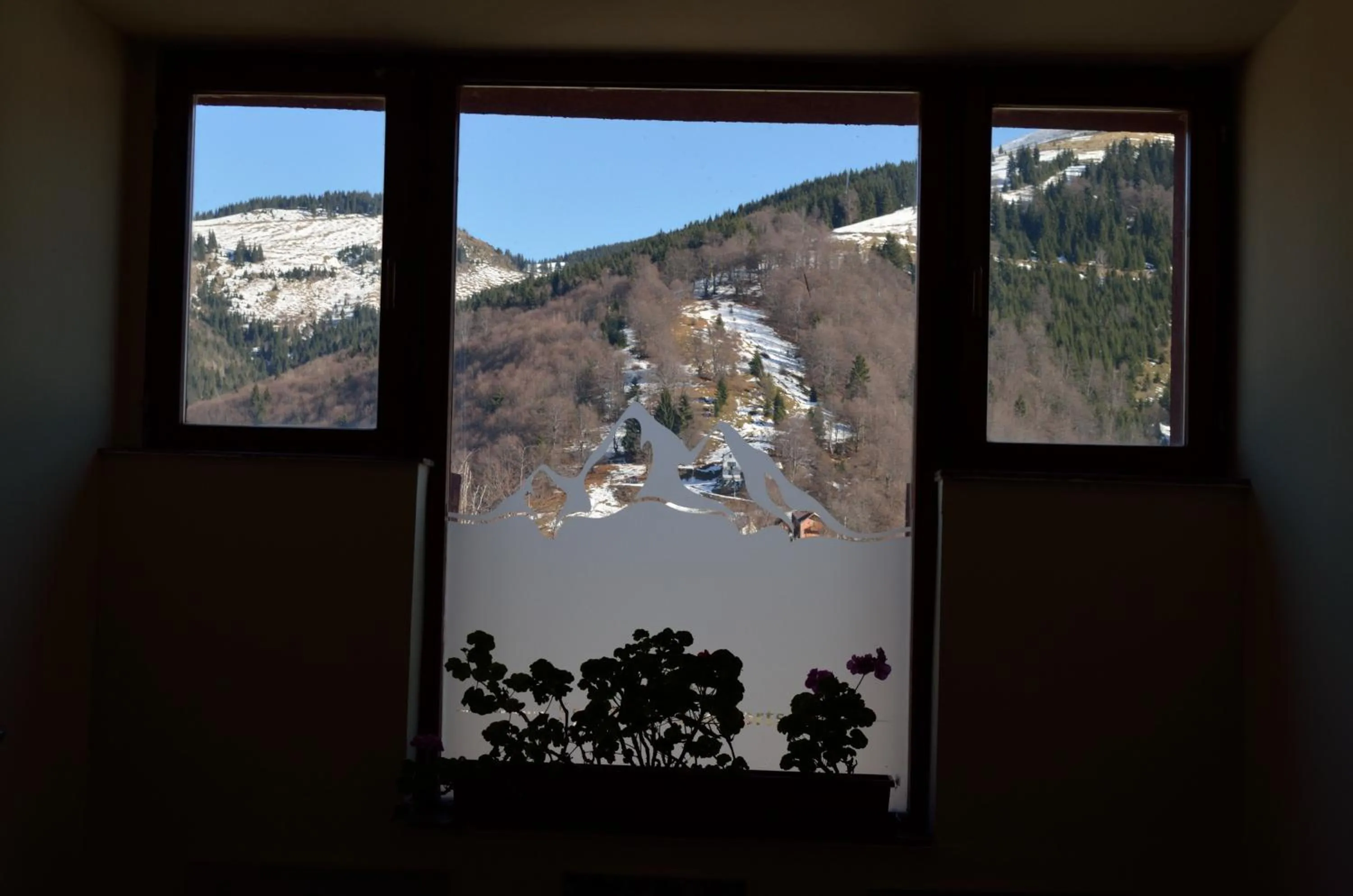 Mountain view in Hotel Rusu
