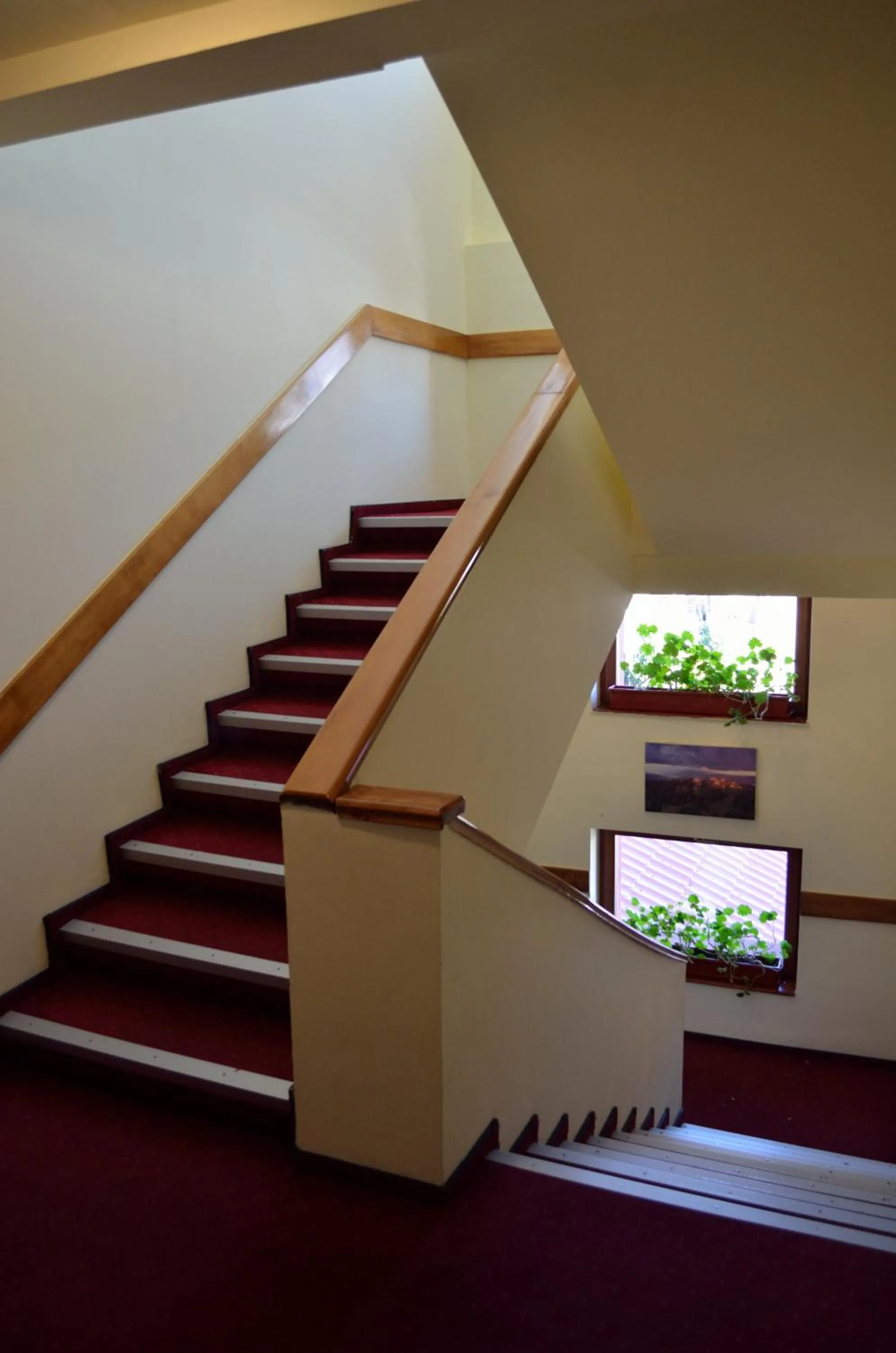 Bird's eye view in Hotel Rusu