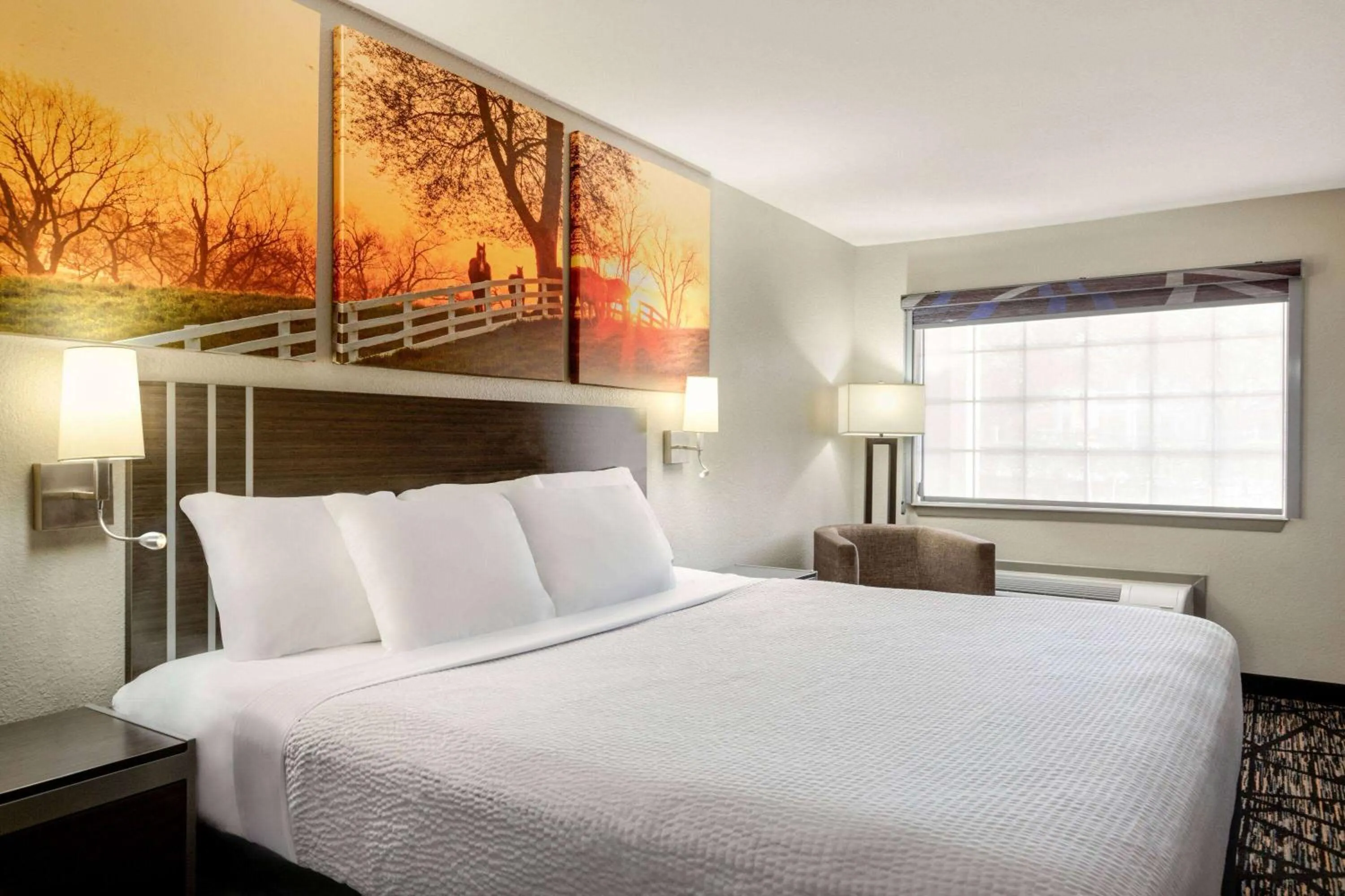 Photo of the whole room, Bed in Days Inn by Wyndham San Antonio Near Fiesta Park