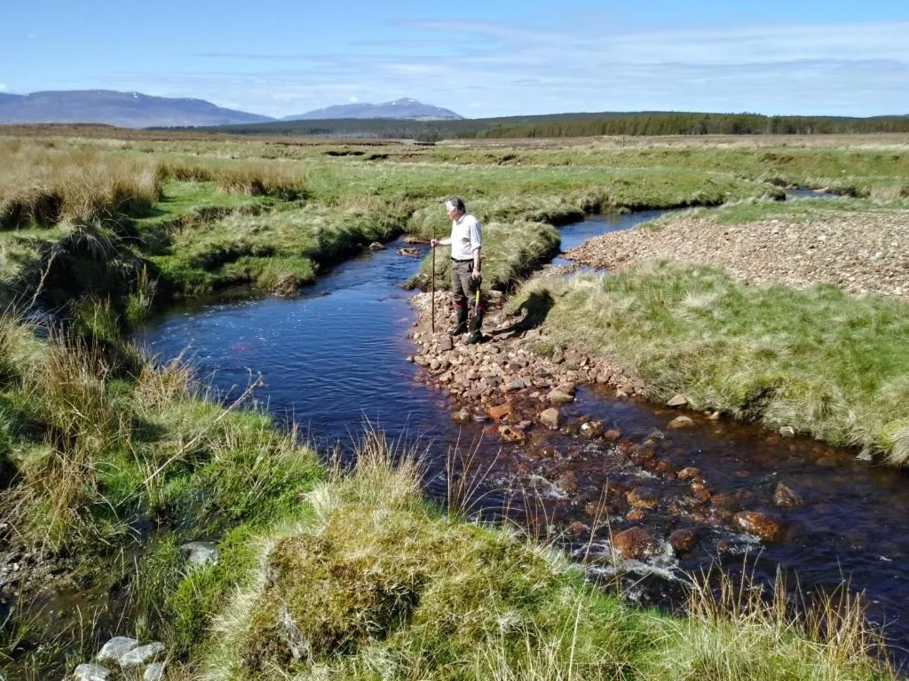 Spring in Garvault House