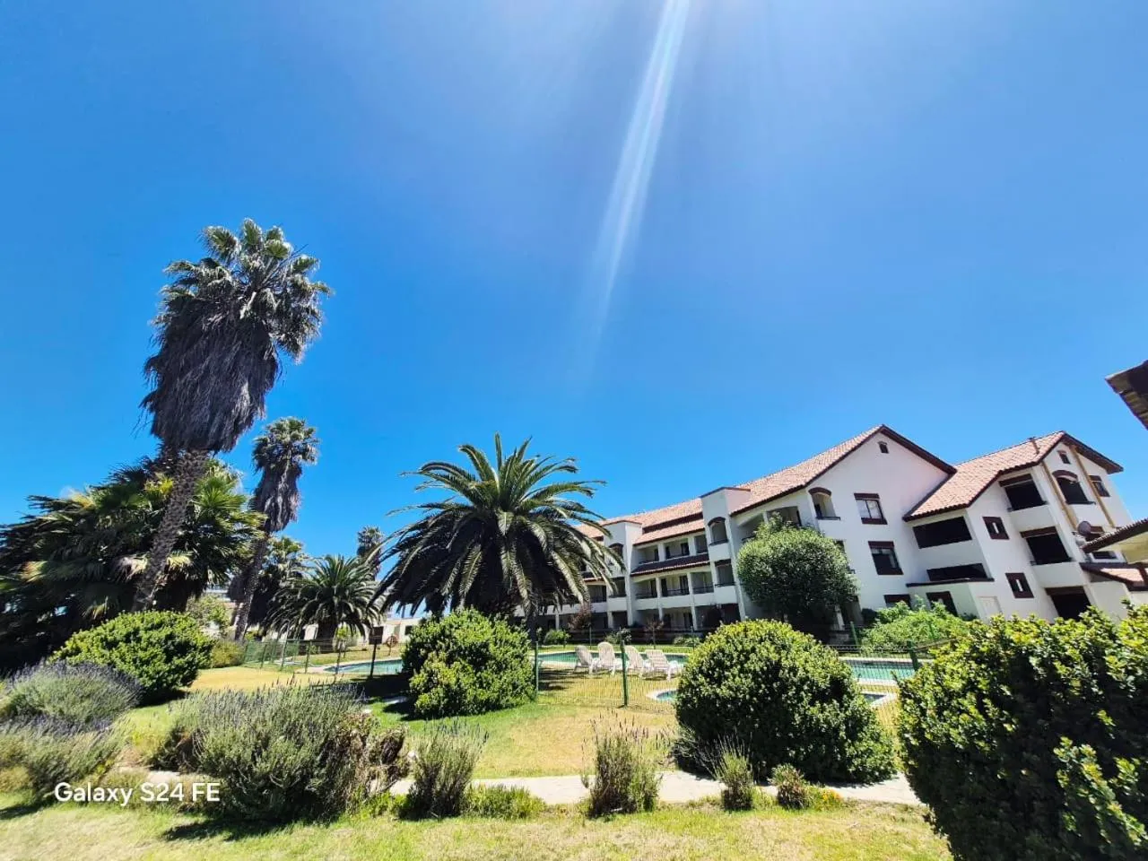 Garden in Hotel Palmas de La Serena
