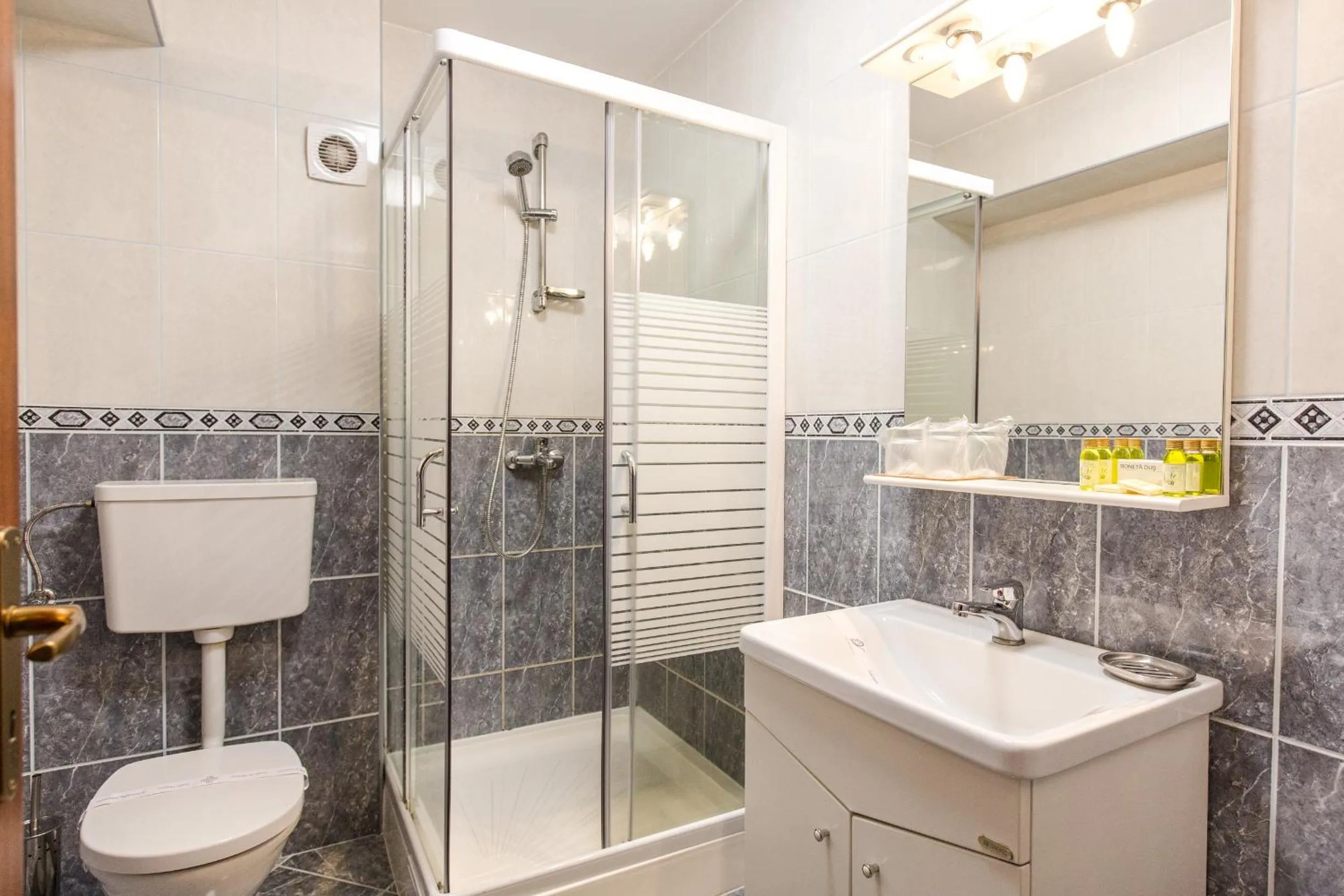 Toilet in Hotel Herastrau