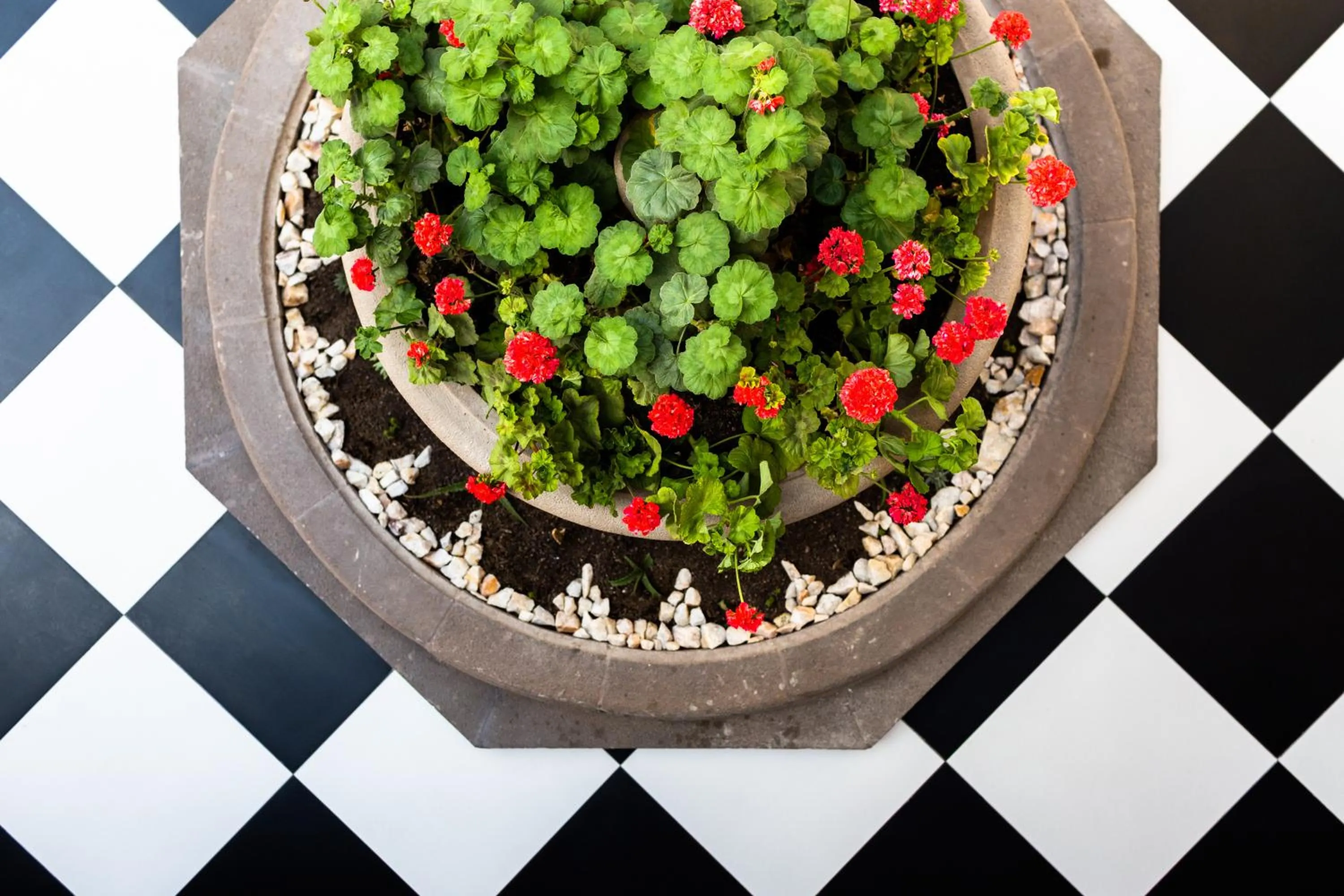 Hotel y Cabañas Campanario