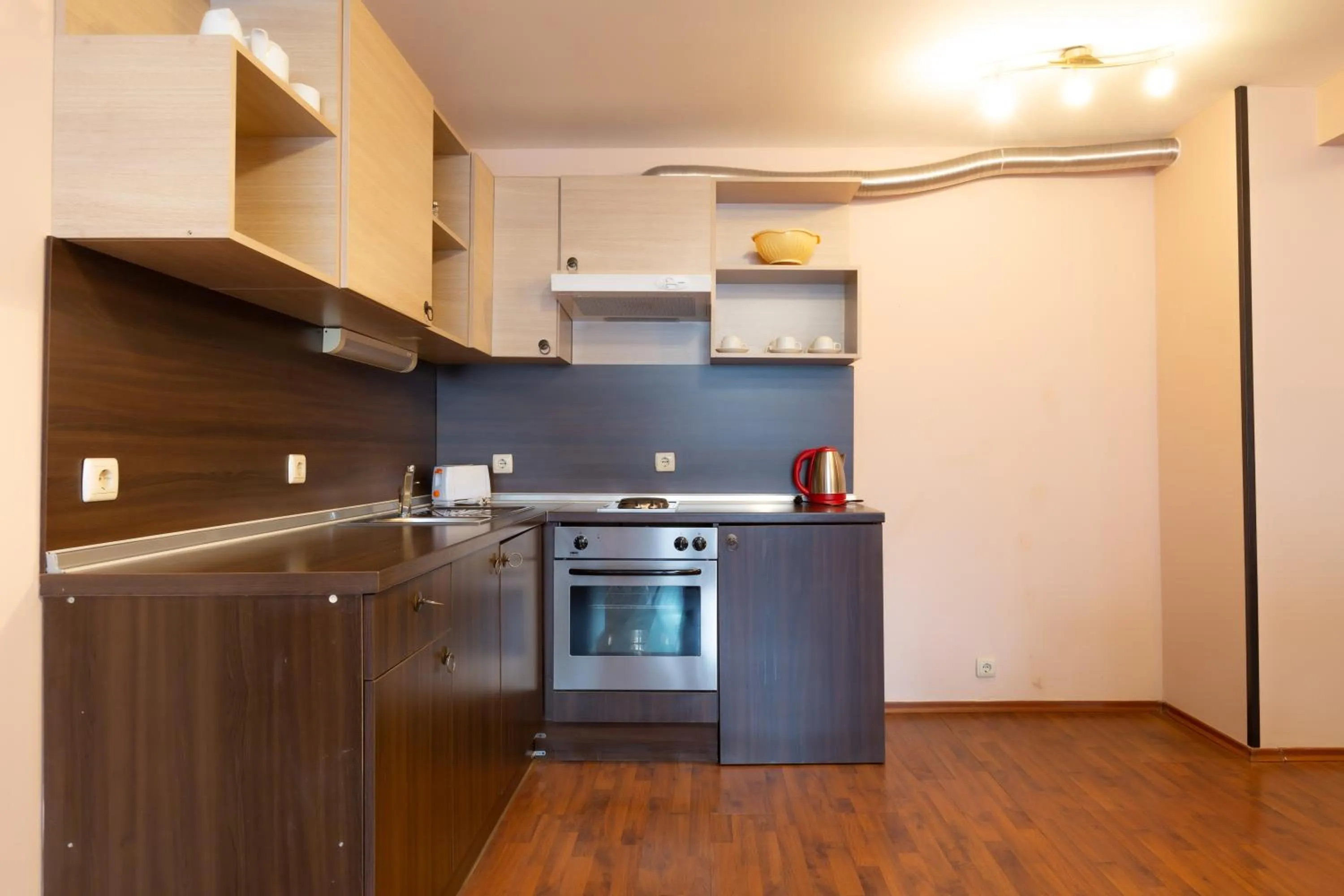 Kitchen or kitchenette in Apart Hotel Dream