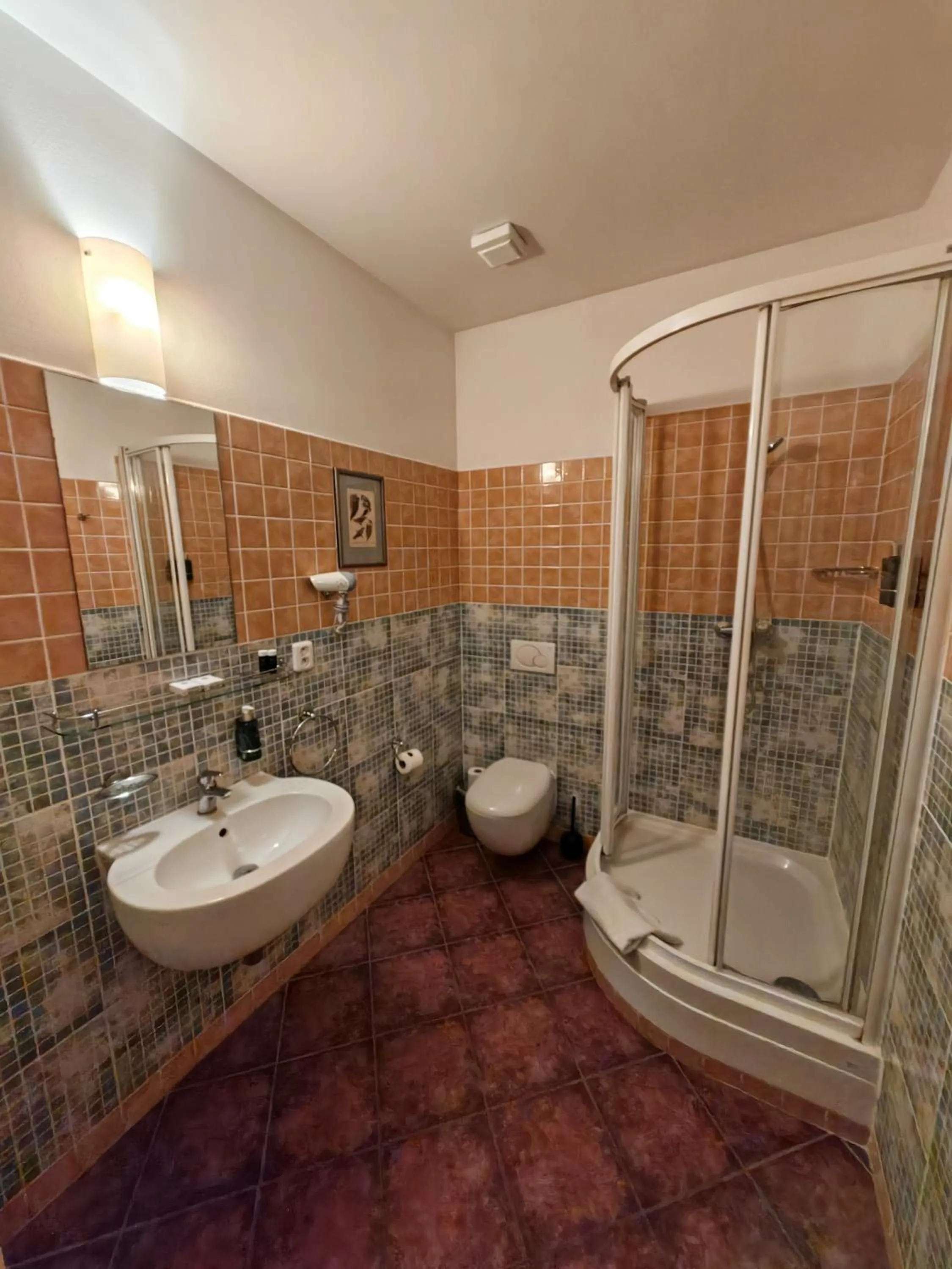 Shower in Boutique Hotel Templ