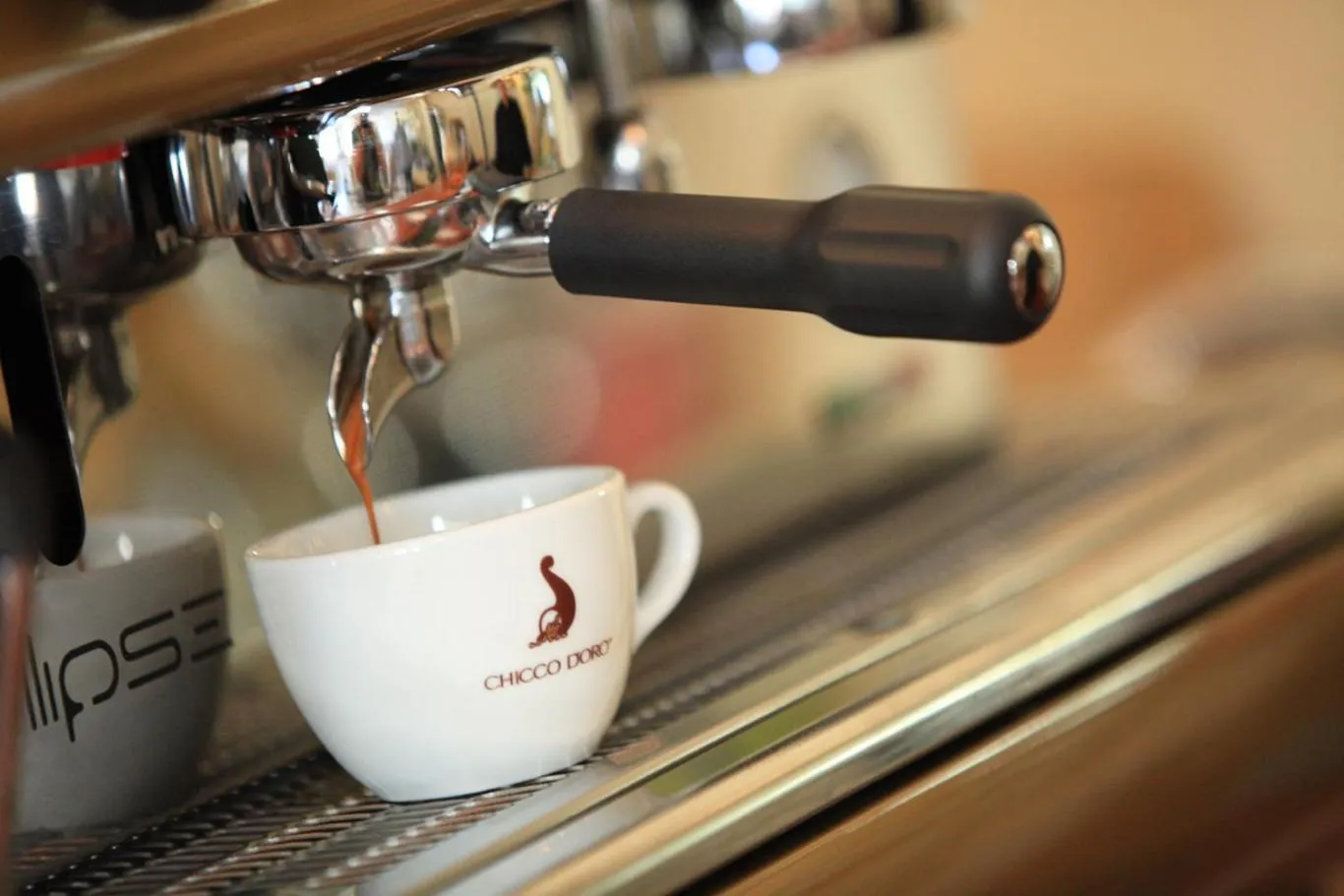 Restaurant/places to eat in GLAMOUR - Restaurant & SPA