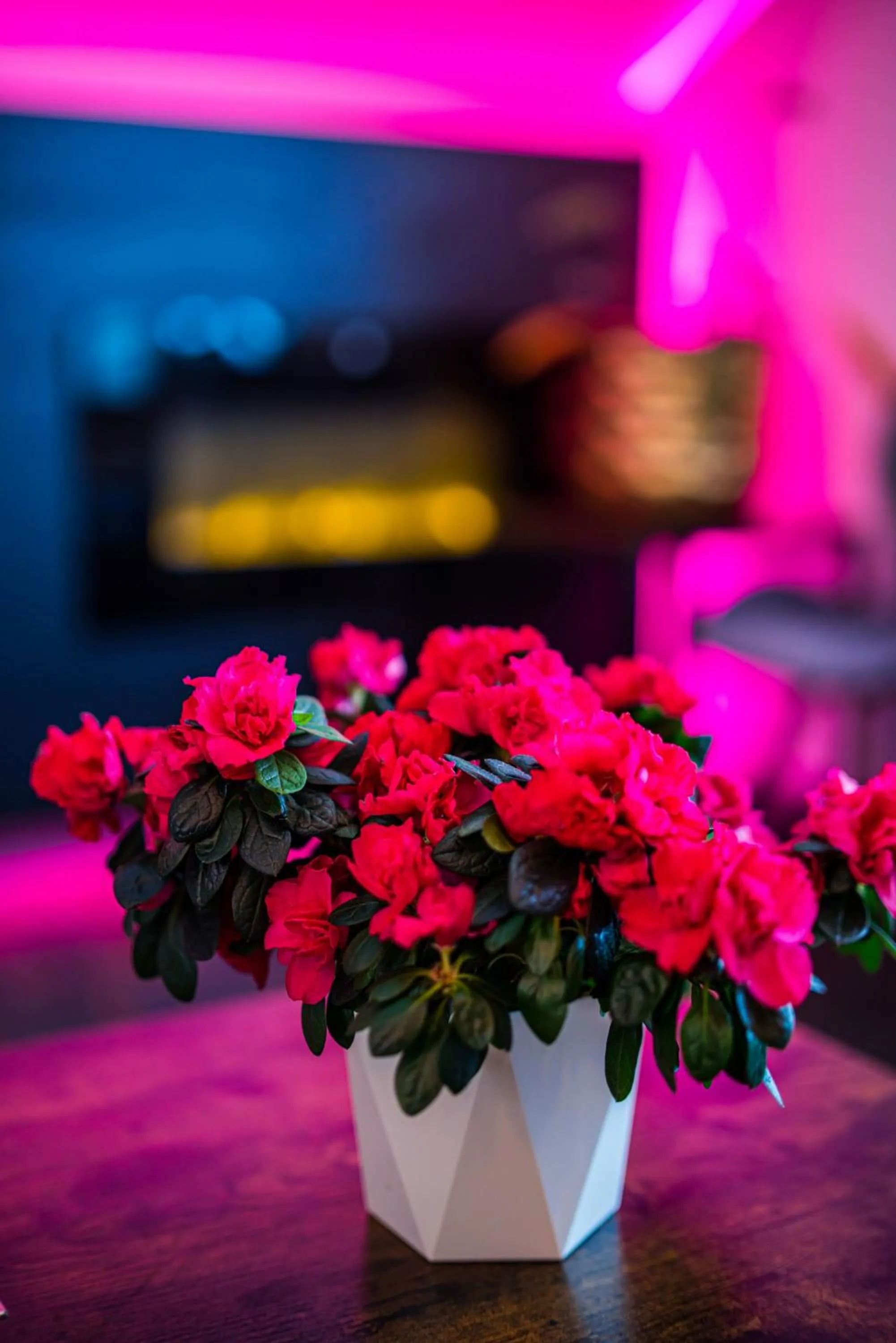 Living room in GLAMOUR - Restaurant & SPA