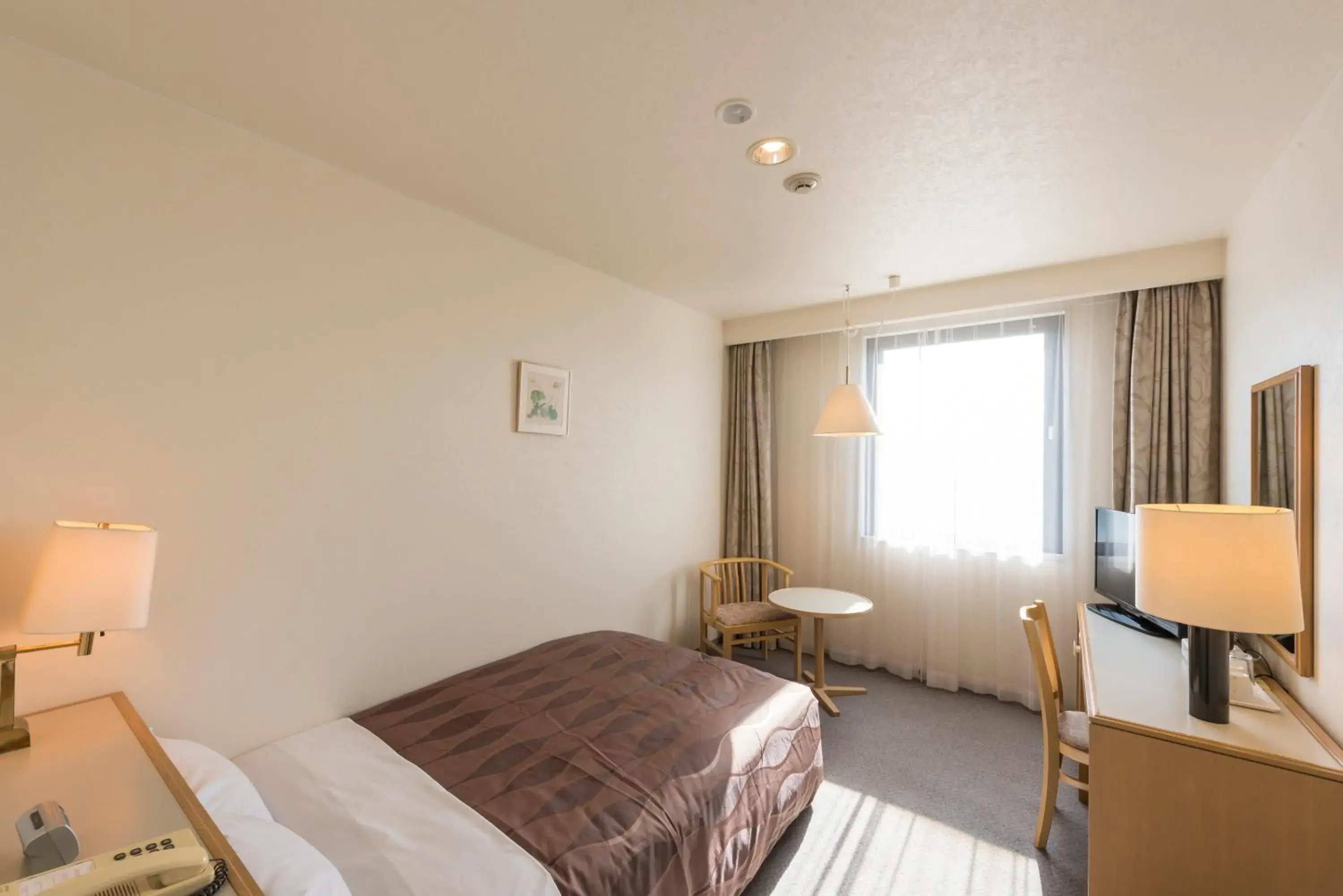 Double Room with Small Double Bed - single occupancy - Non-Smoking in Sky Hotel Namerikawa Double Room with Small Double Bed - single occupancy - Non-Smoking in Sky Hotel Namerikawa