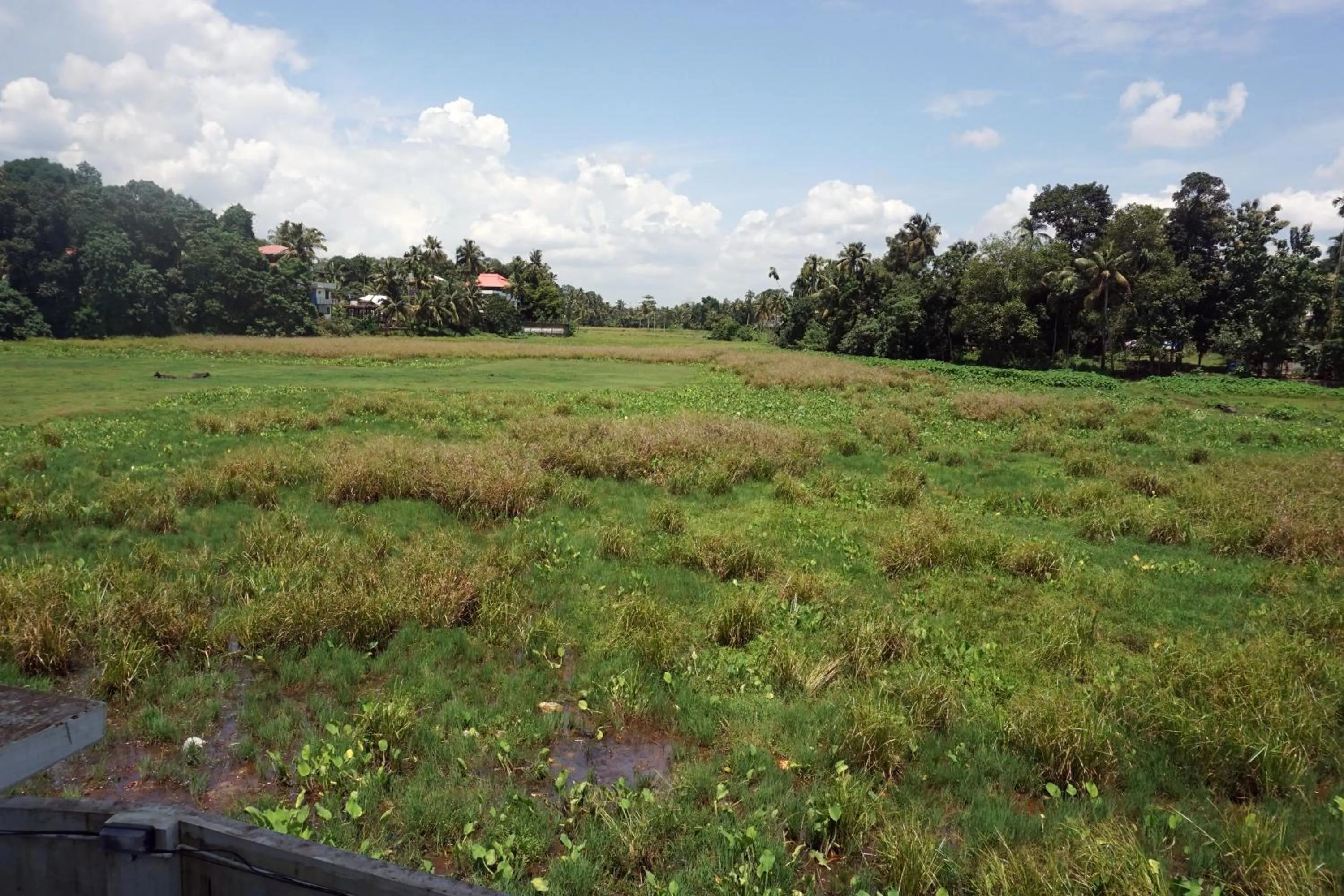 Garden in Hisham Residency