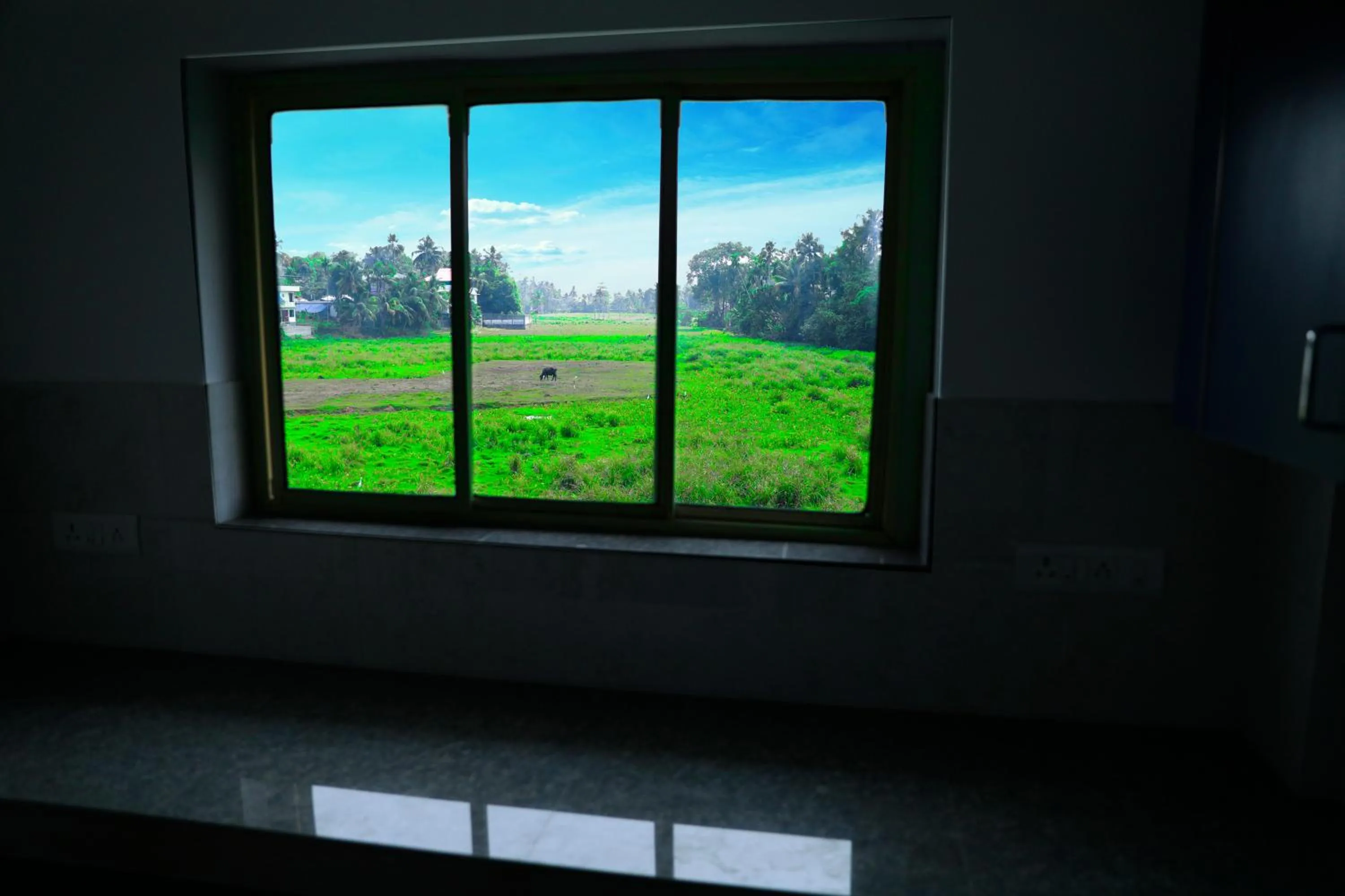 Garden view in Hisham Residency