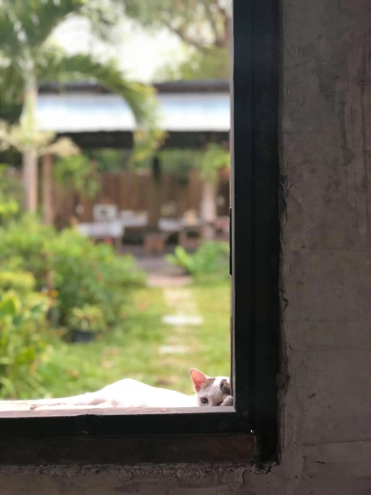 Lanna House Lanna Hut Chiangmai