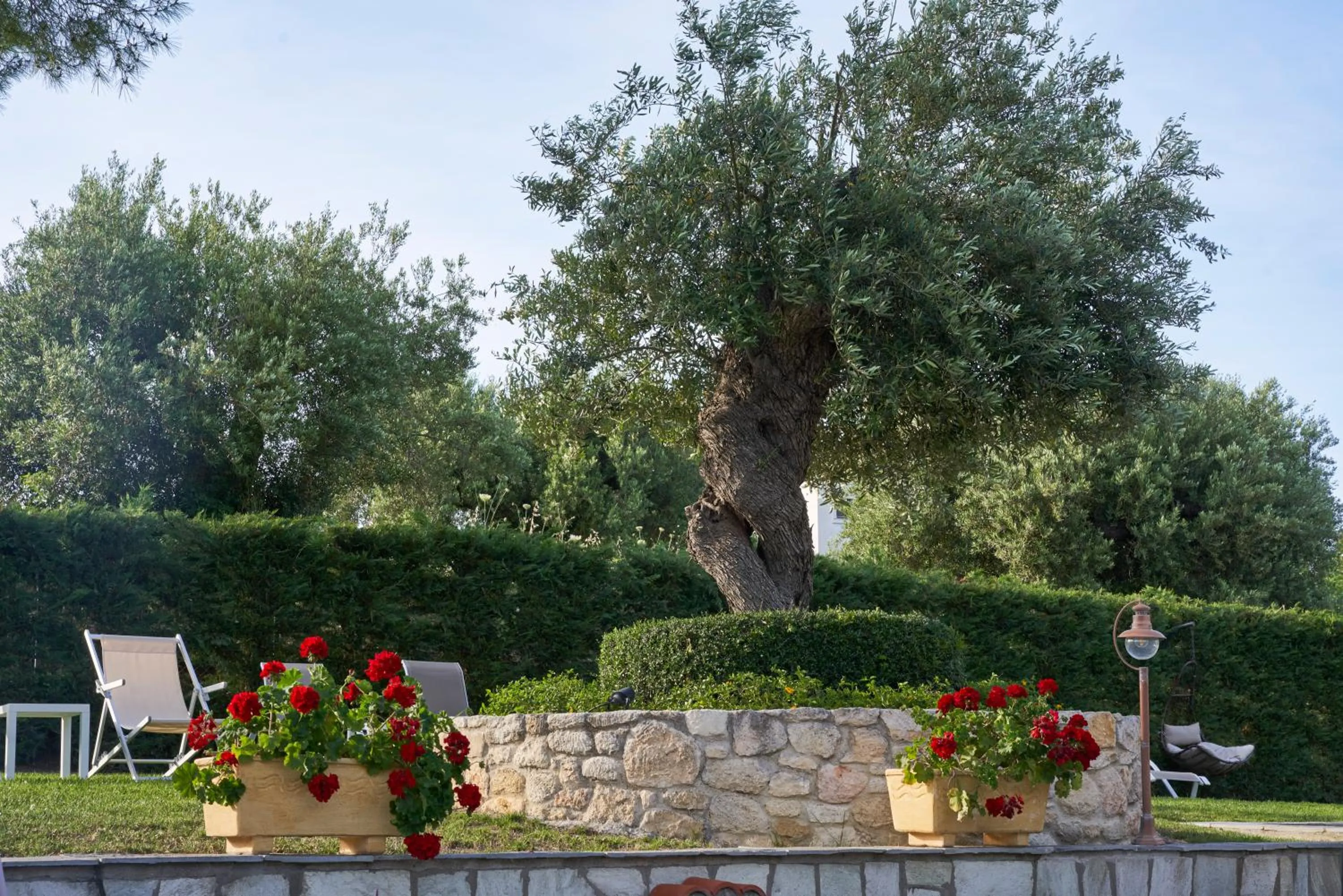 Garden in Mirabilia Boutique Hotel