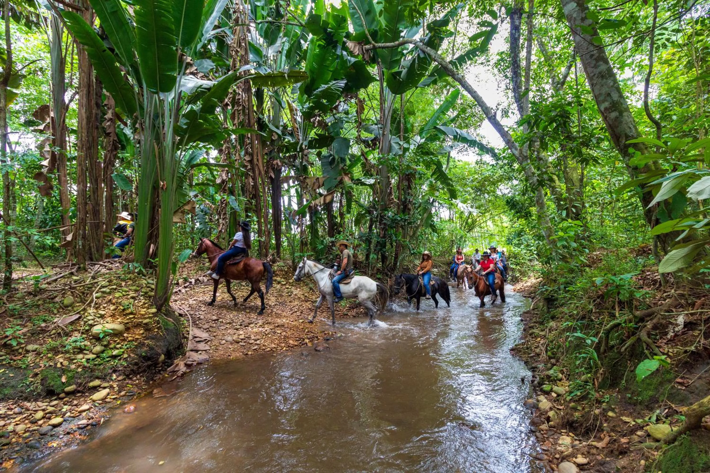 Animals in Hotel Campestre La Potra