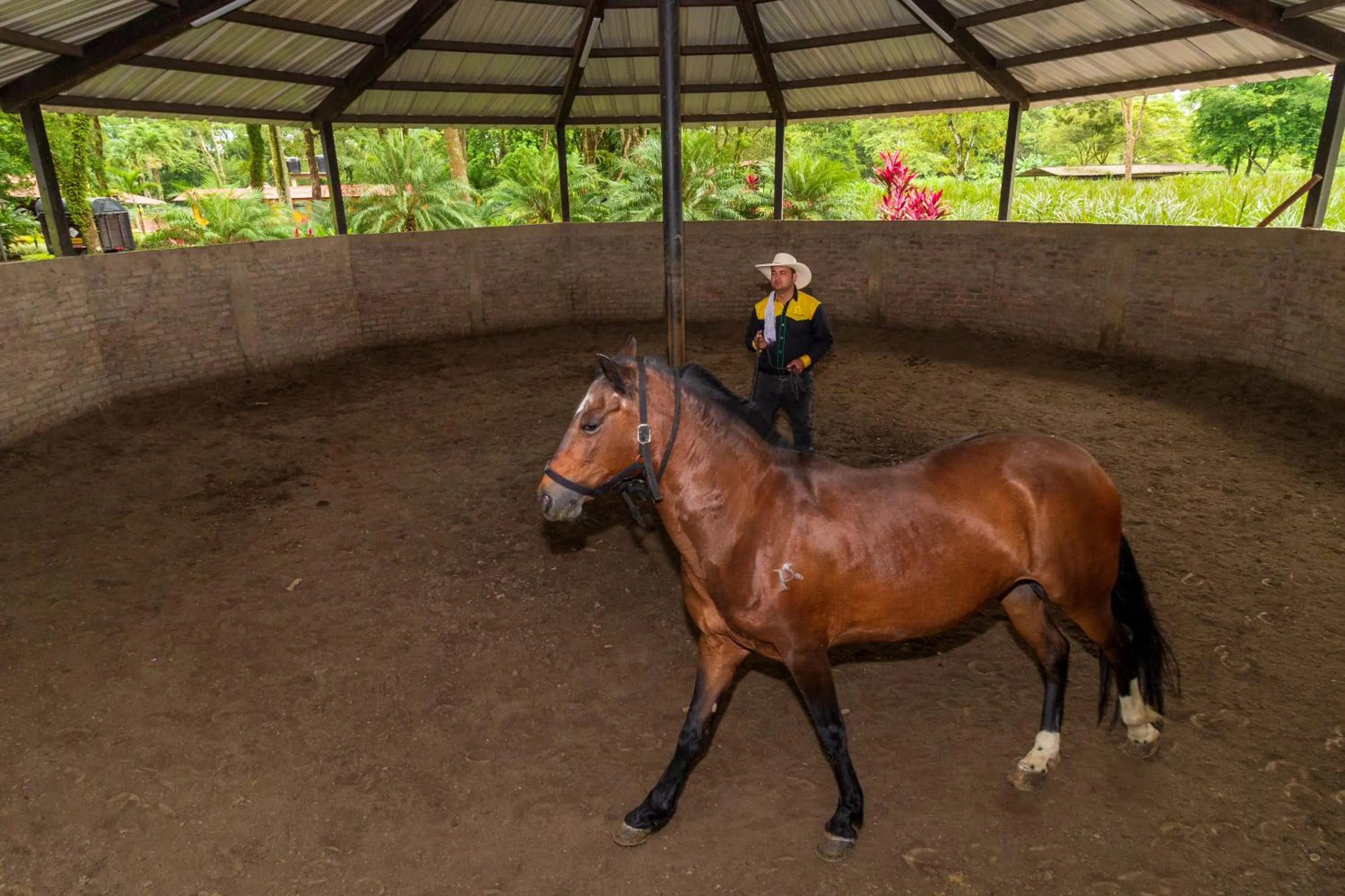 Animals in Hotel Campestre La Potra