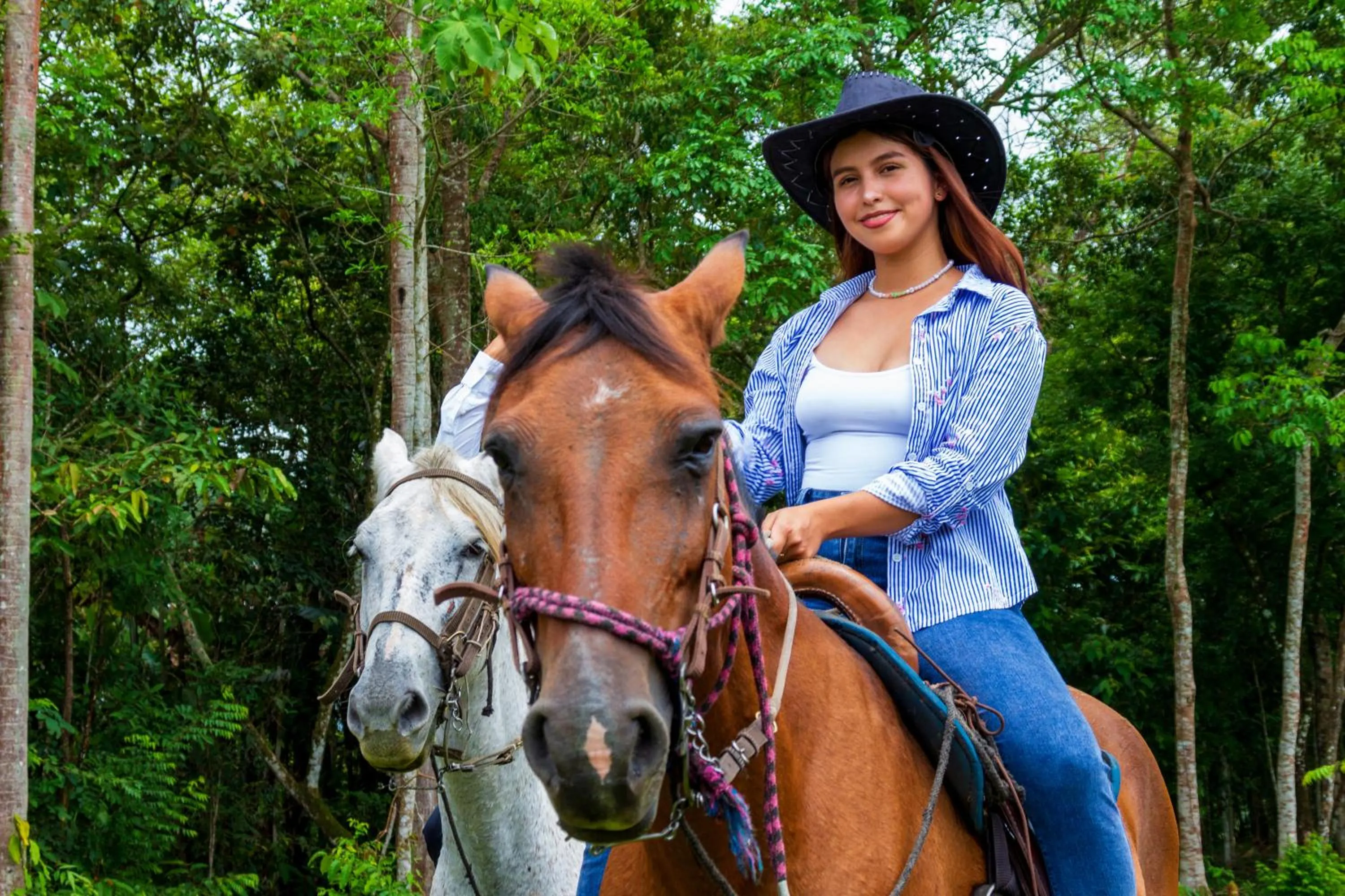 Animals in Hotel Campestre La Potra
