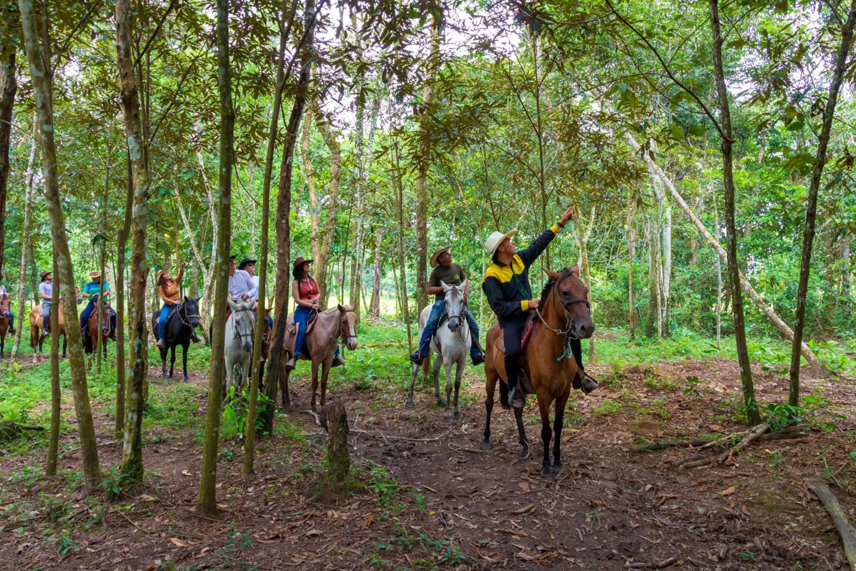 Animals in Hotel Campestre La Potra