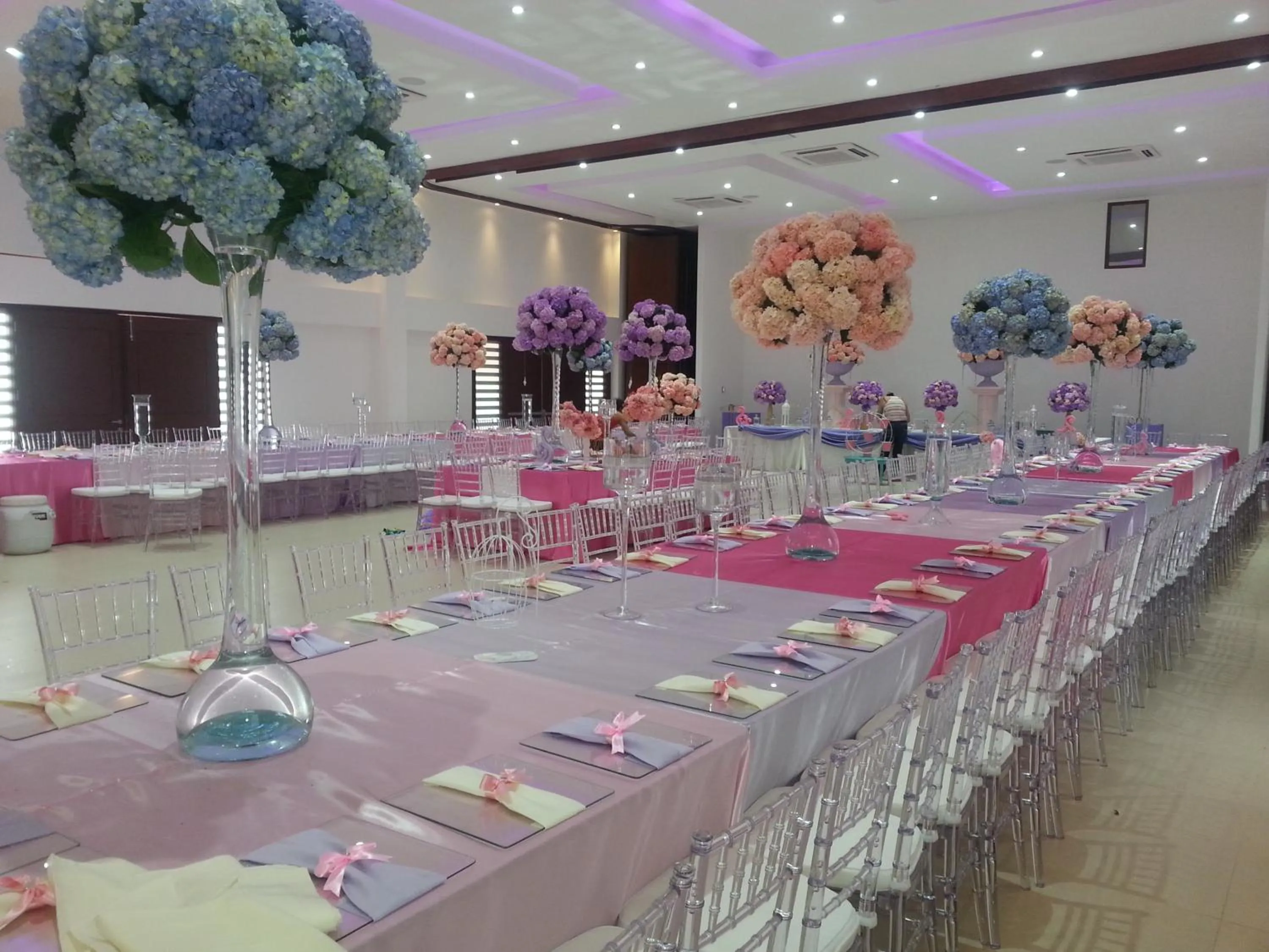 Banquet/Function facilities in Hotel Campestre La Potra