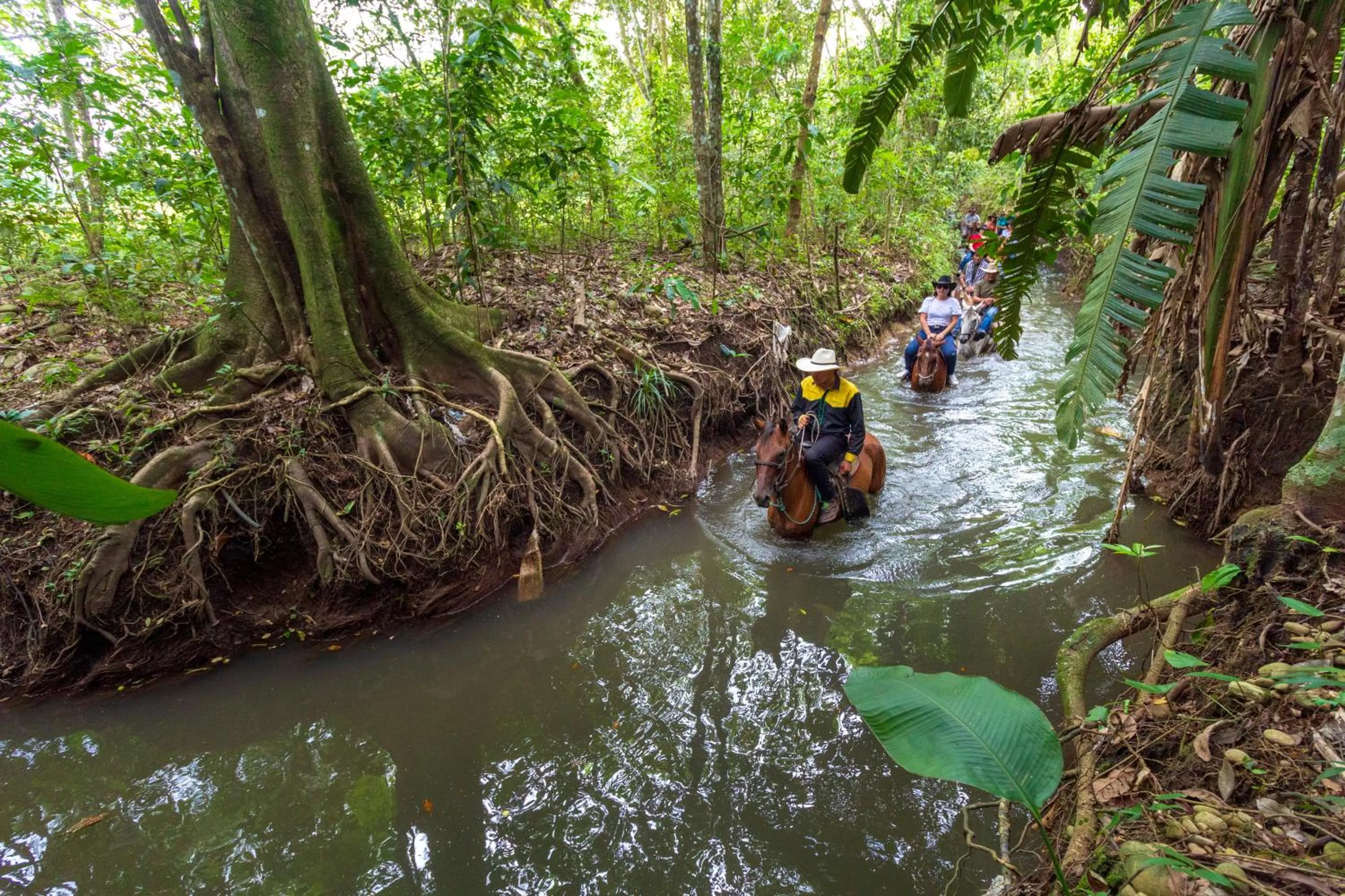 River view in Hotel Campestre La Potra