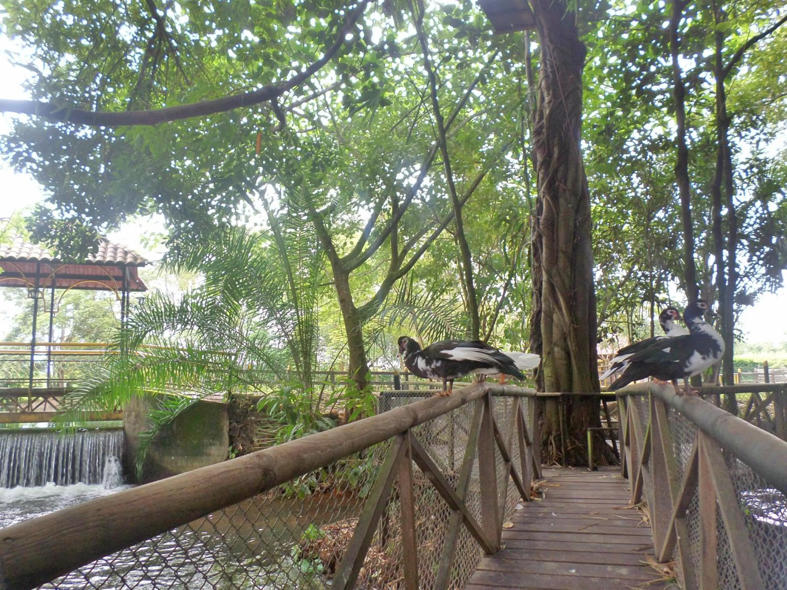 Garden in Hotel Campestre La Potra