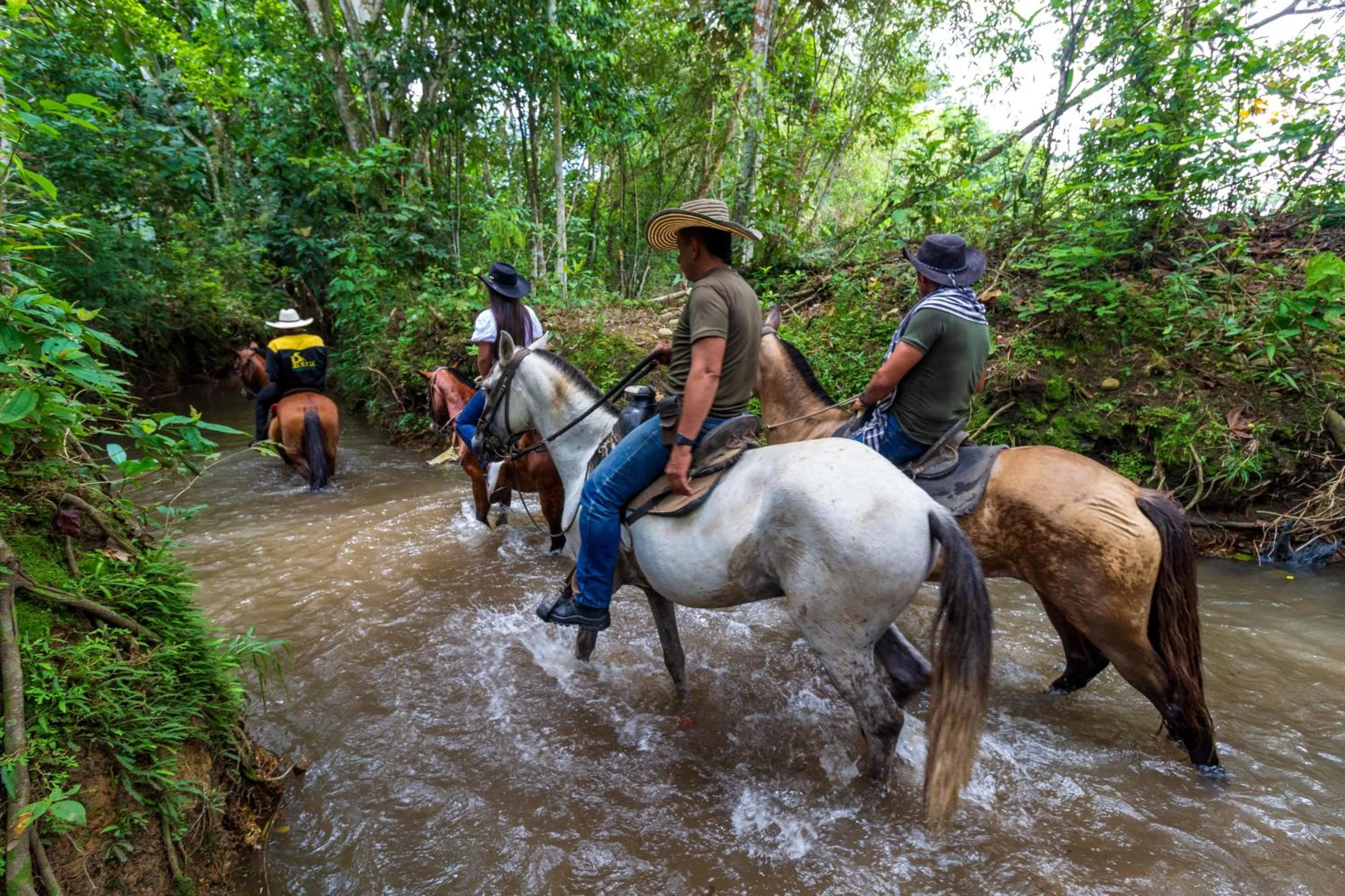 Animals in Hotel Campestre La Potra