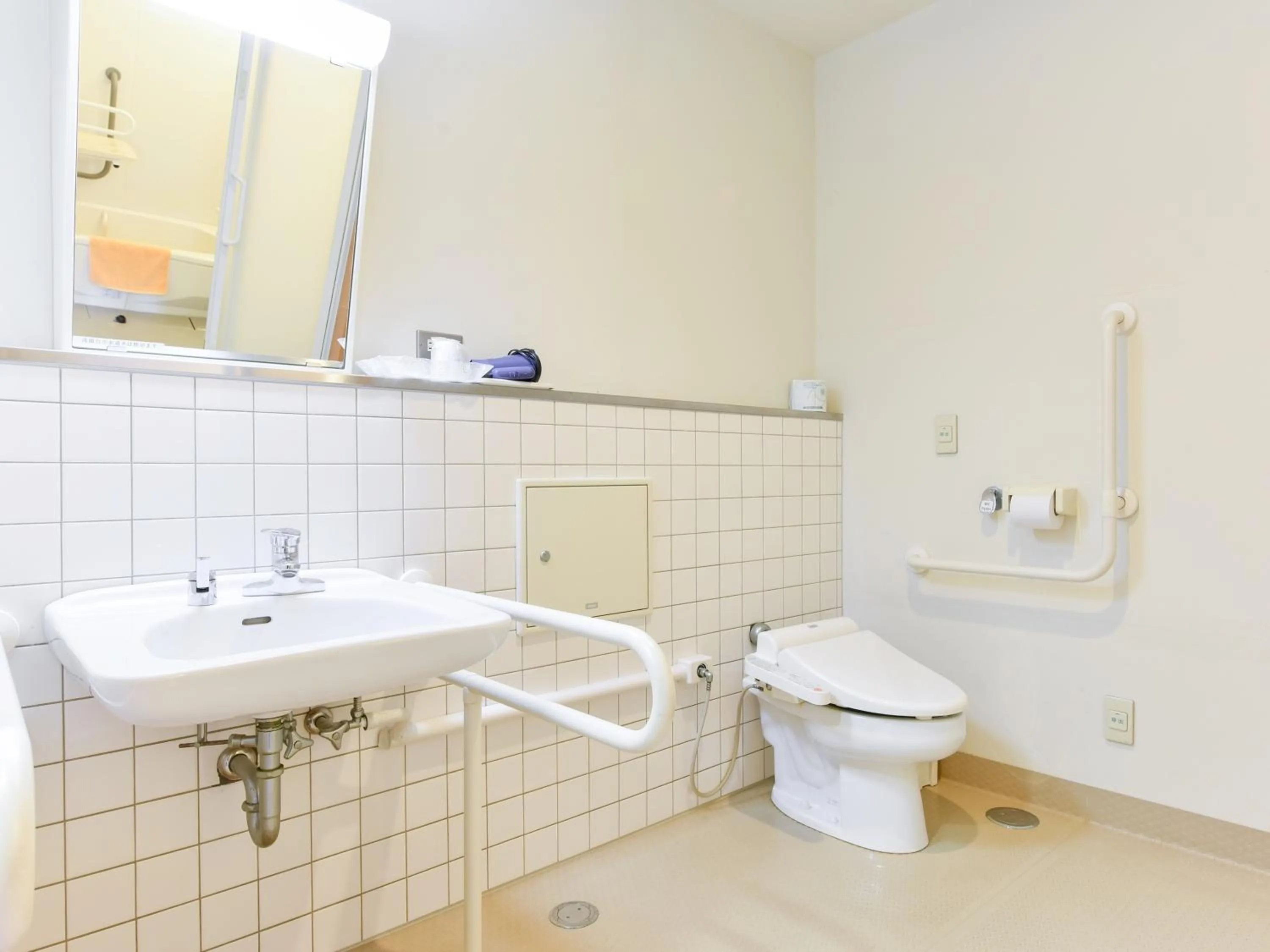 Other in momijigawa onsen