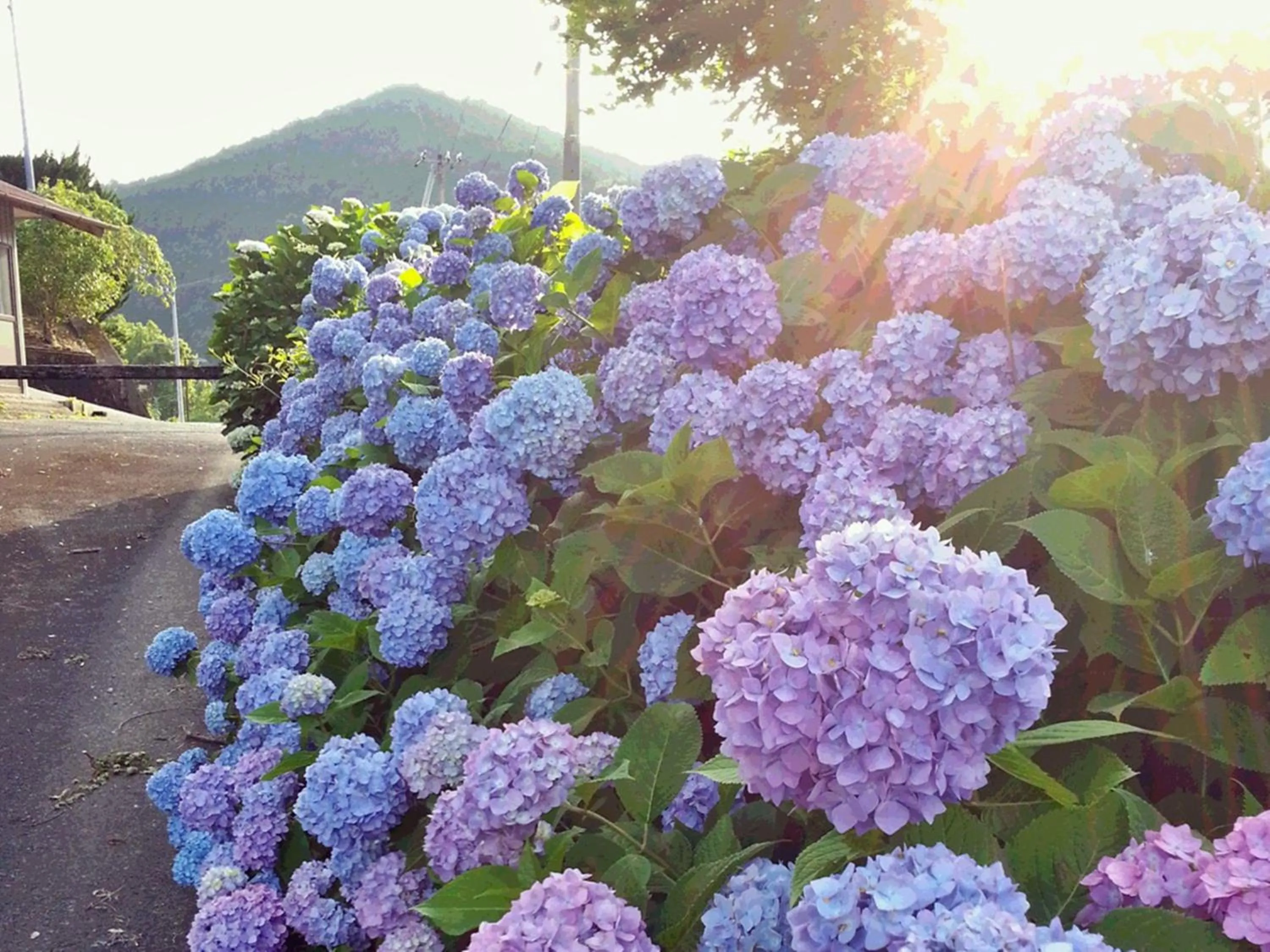 Off site in momijigawa onsen
